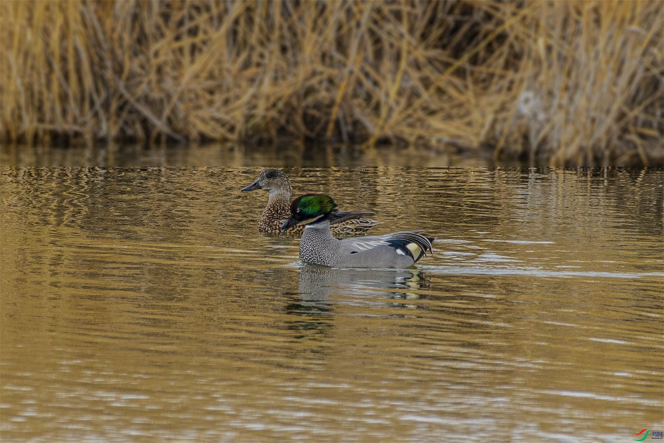 1K3A9622 ����1.jpg