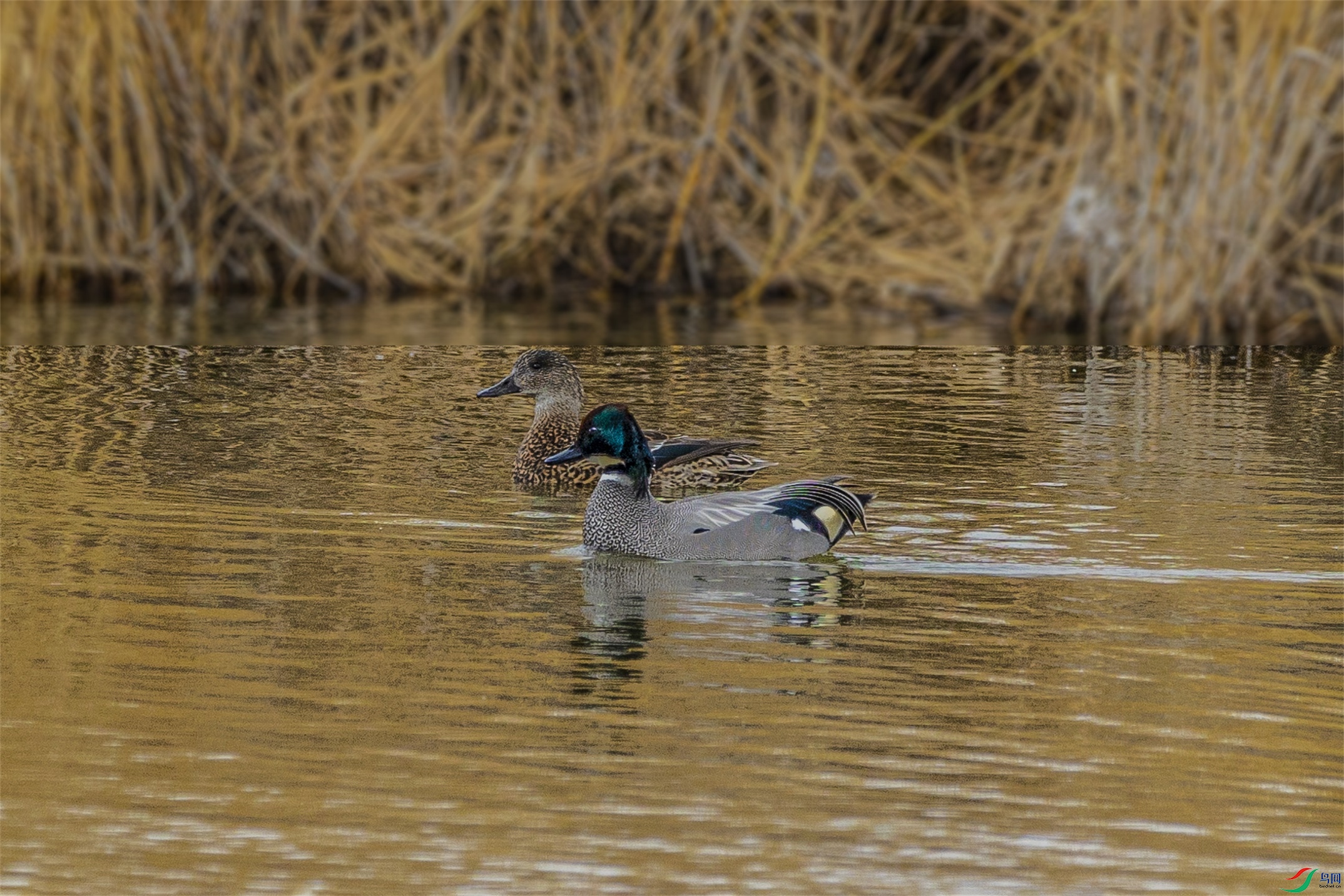 1K3A9623 ����1.jpg