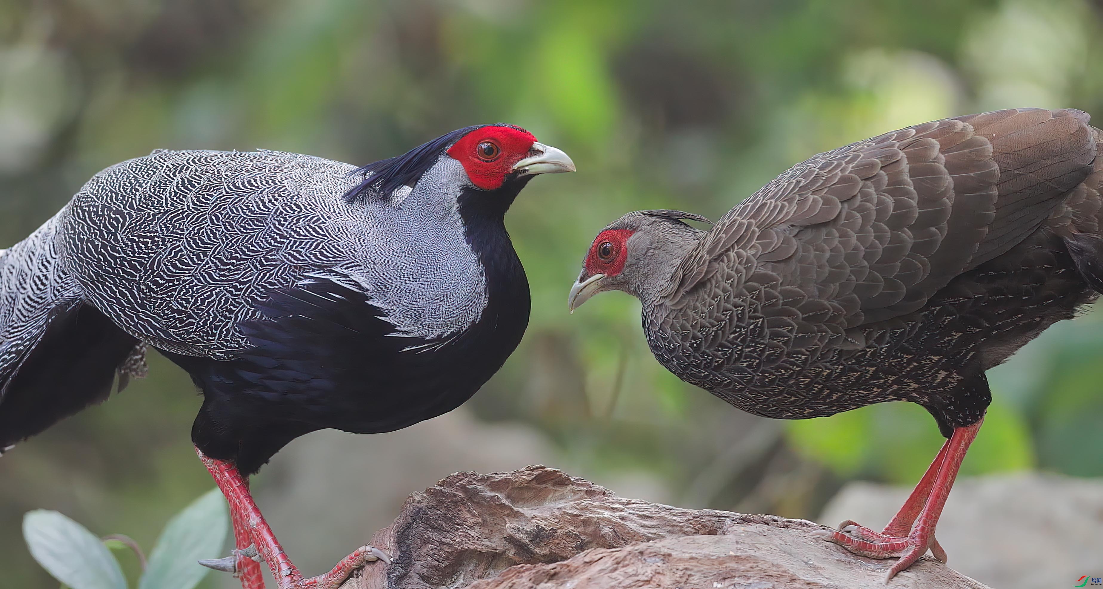 δ����_1.1.1 ����.jpg