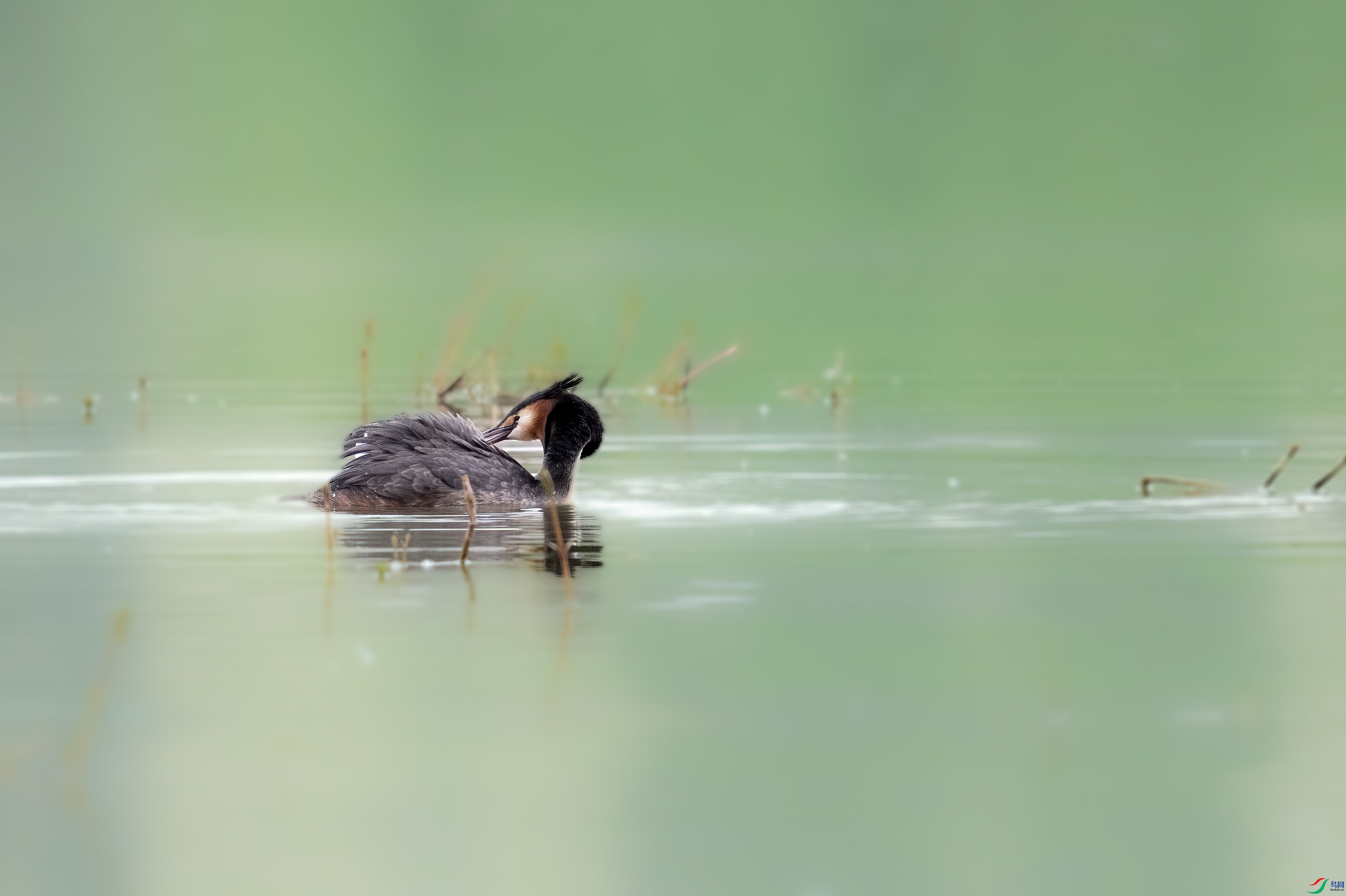 DSC_4044.jpg