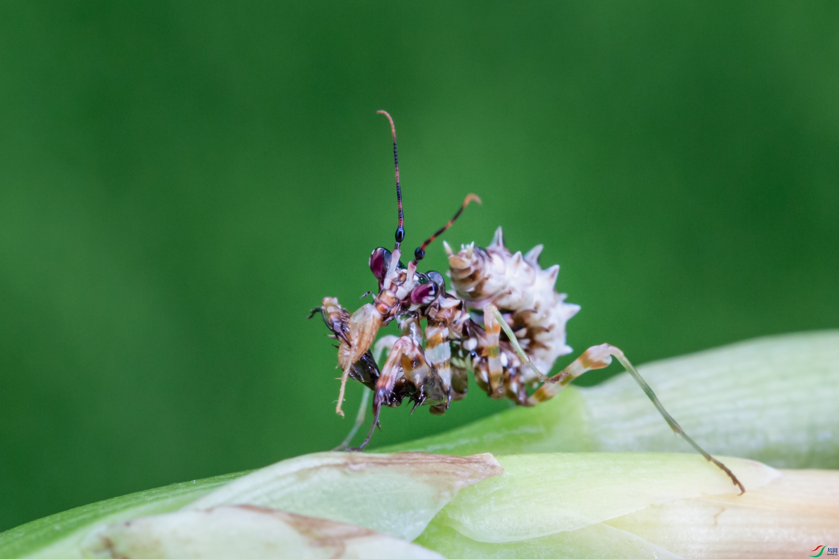 NK5A2358 ����.jpg