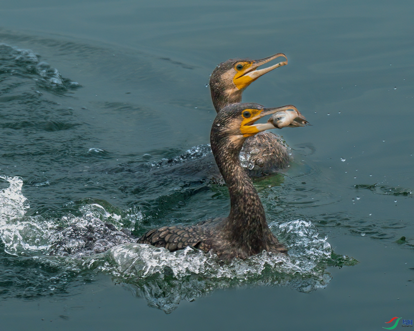 DSC_7870.jpg