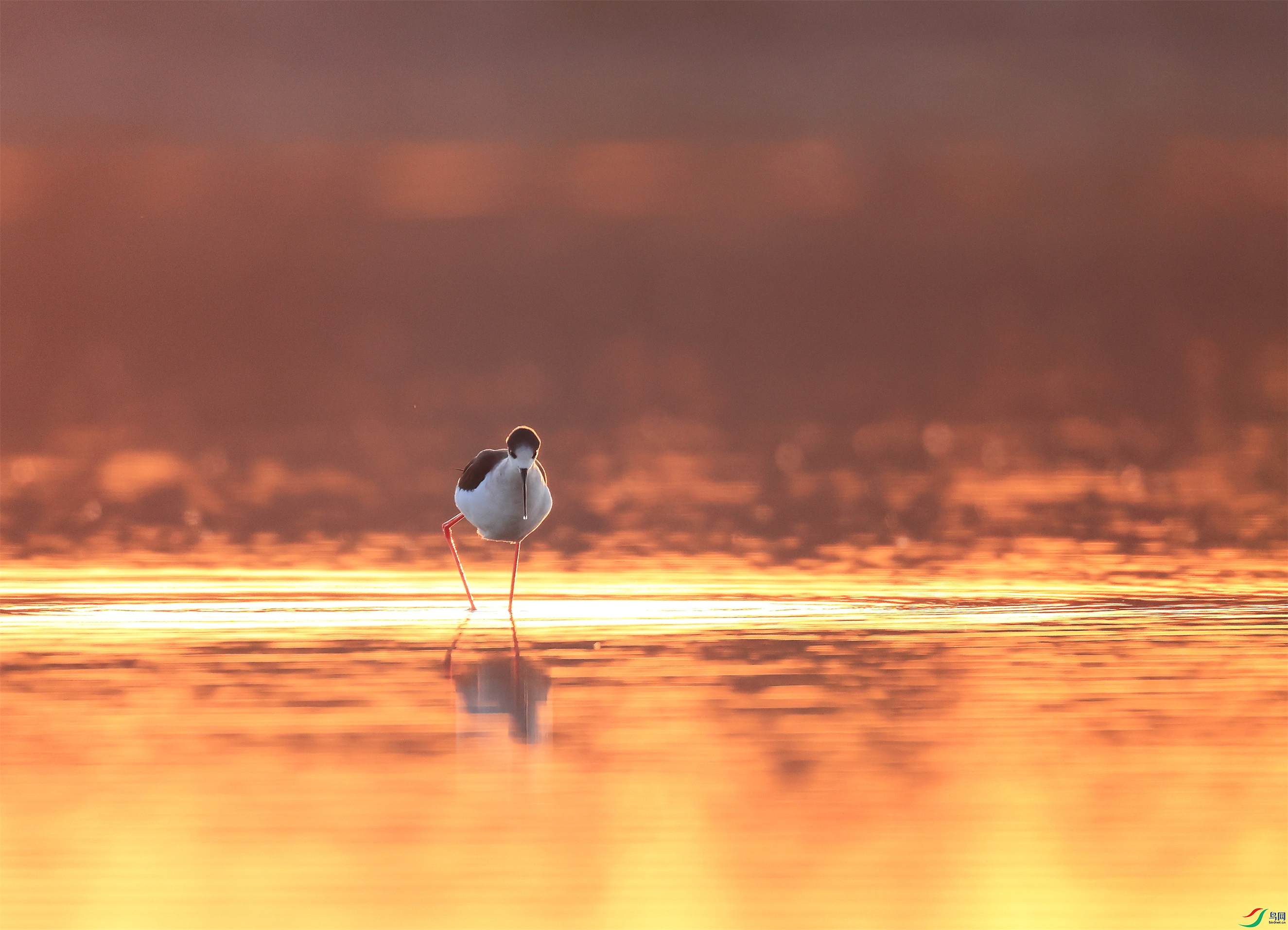 5 - ���� (2).JPG