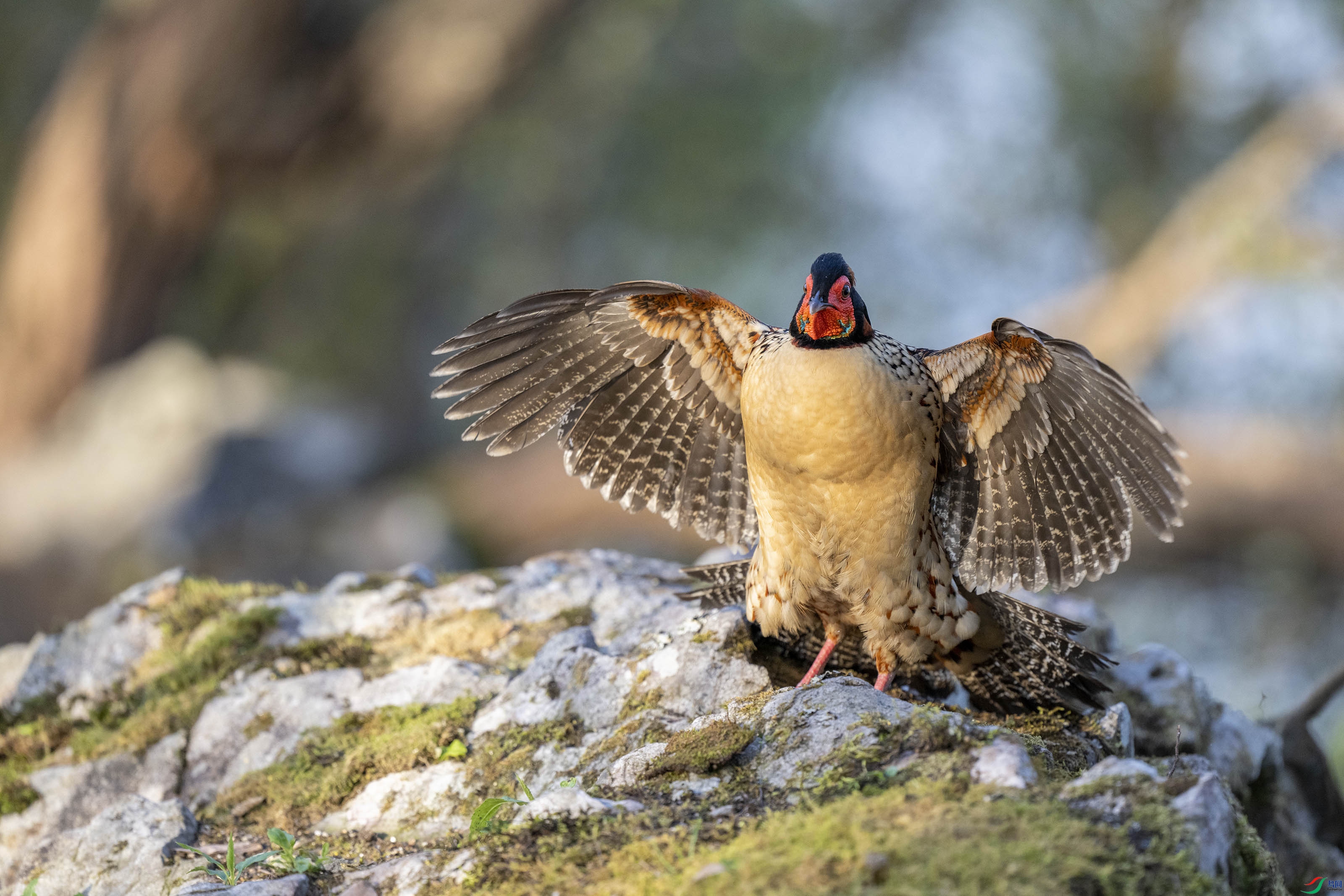 _DSC5109 ����.jpg