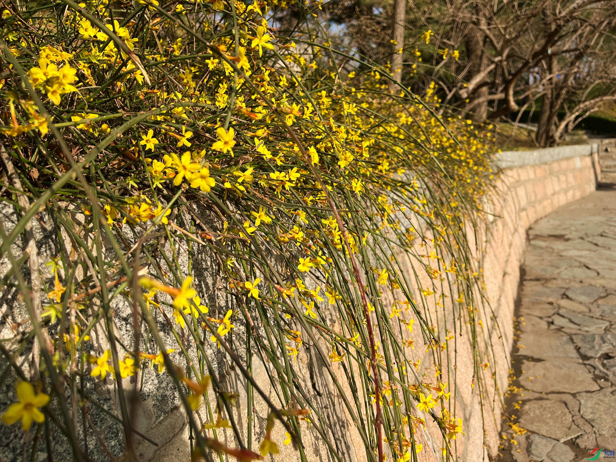IMG_9454_����.jpg