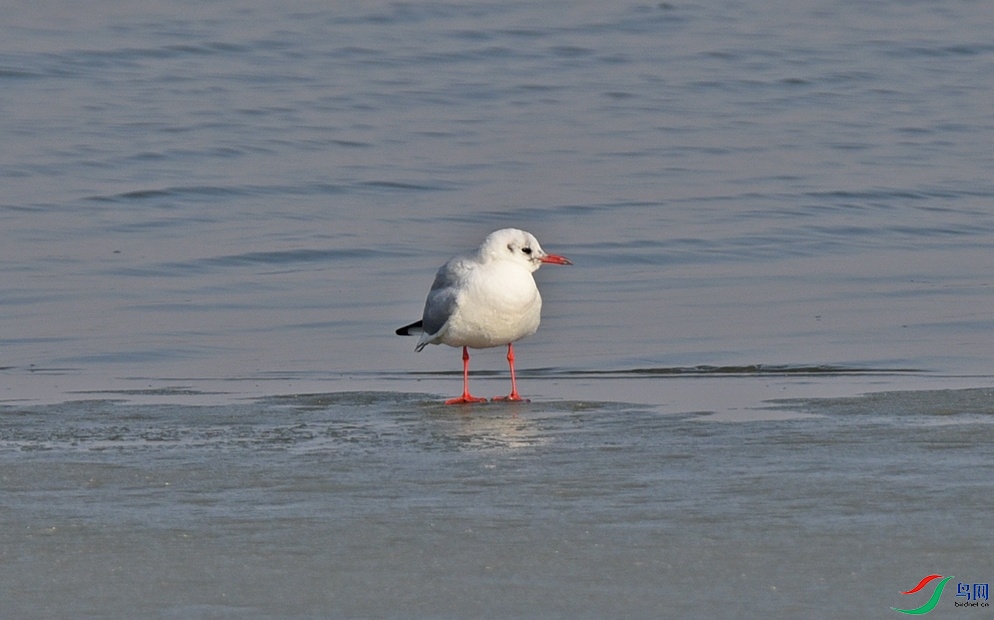 DSC_7441f.jpg