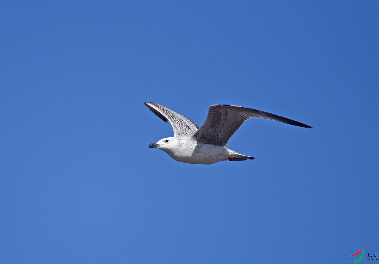 DSC_9543f_��ͼ��.jpg