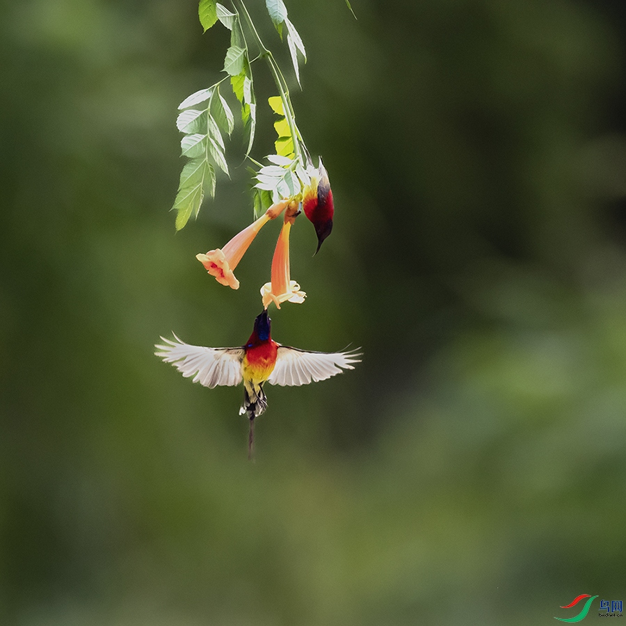 A46I9971 ����.psd2.jpg