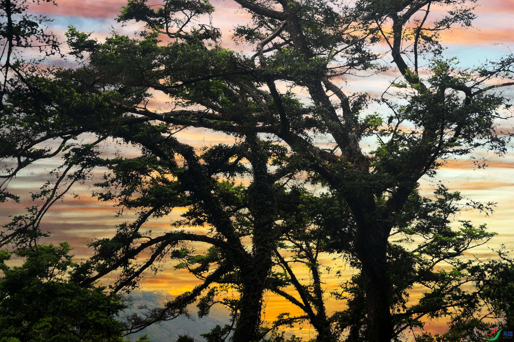 BF1I7888-2 ����_����.jpg