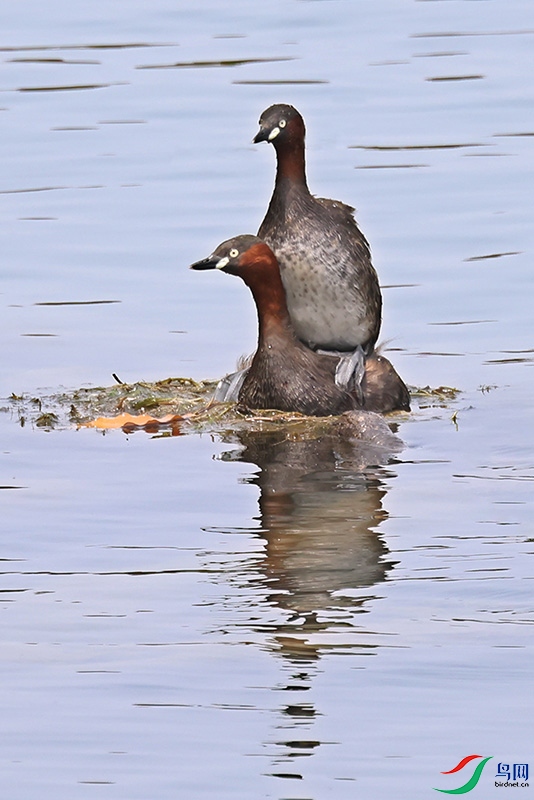 A28A9905-.jpg