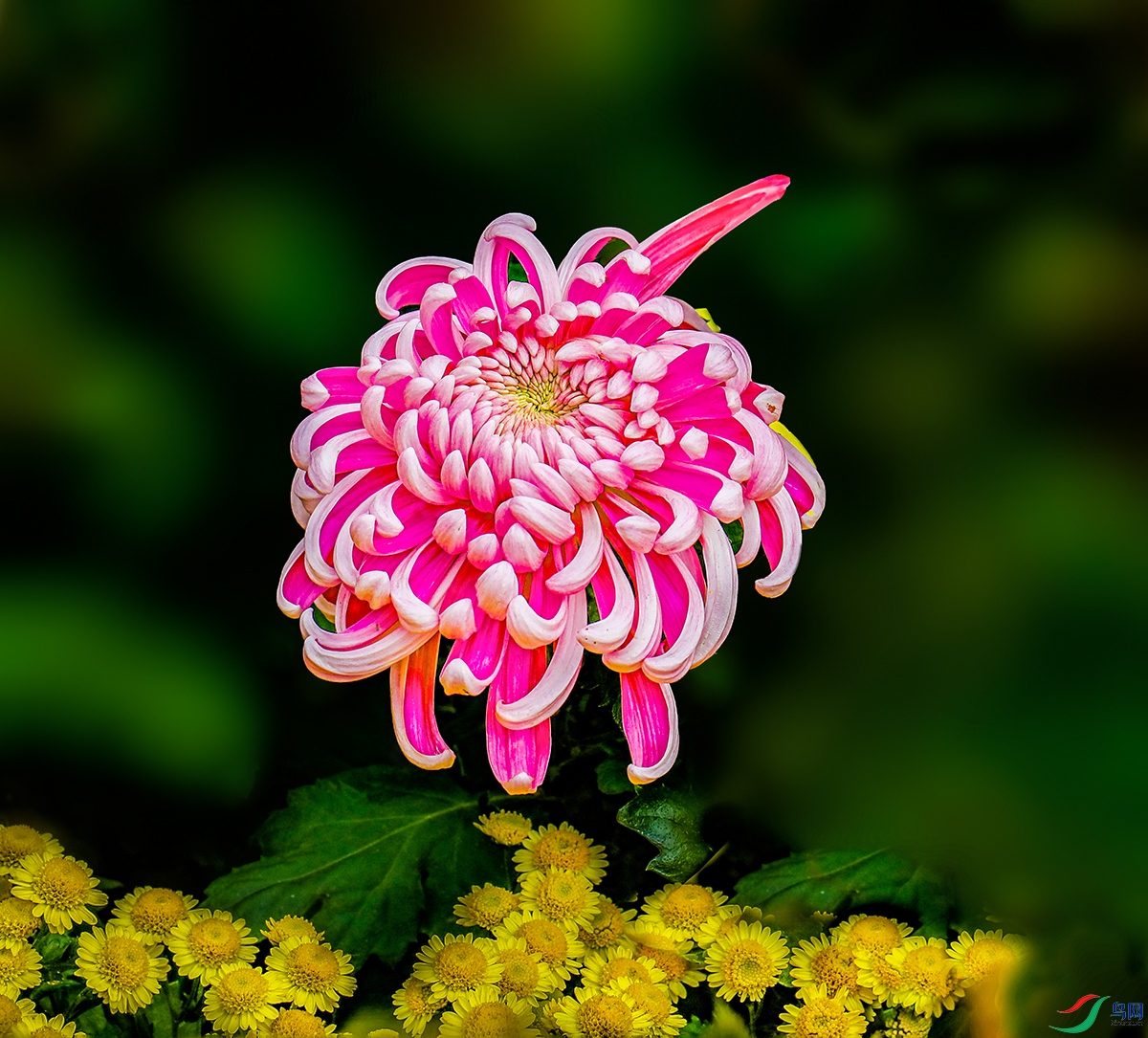 00071583A0019 ���������� ����.jpg