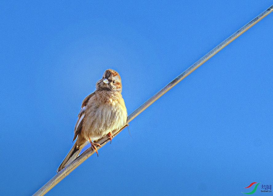 _DSC2184 ��������.jpg