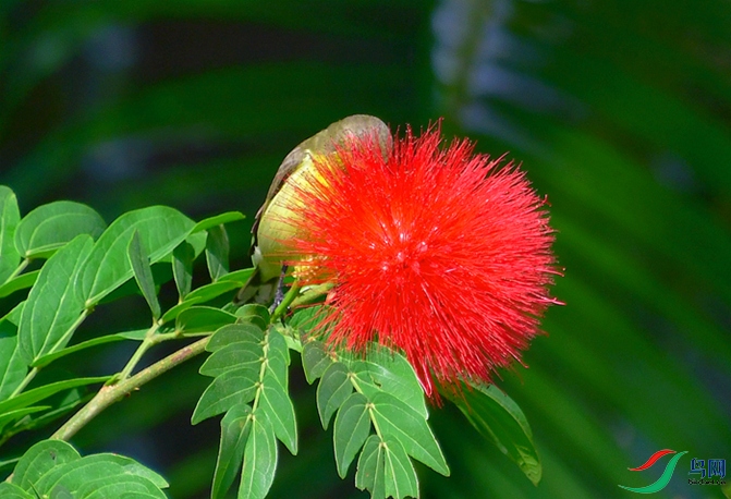 ����ͼ (��) (5).JPG