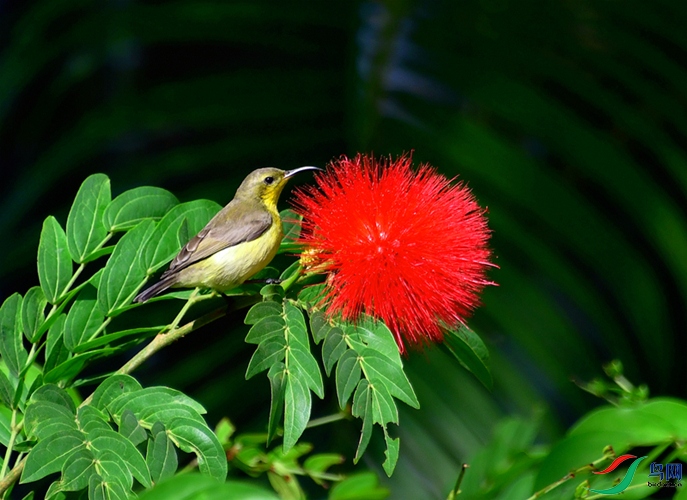 ����ͼ (��) (3).JPG