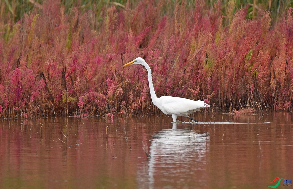 DSC_7439.jpg