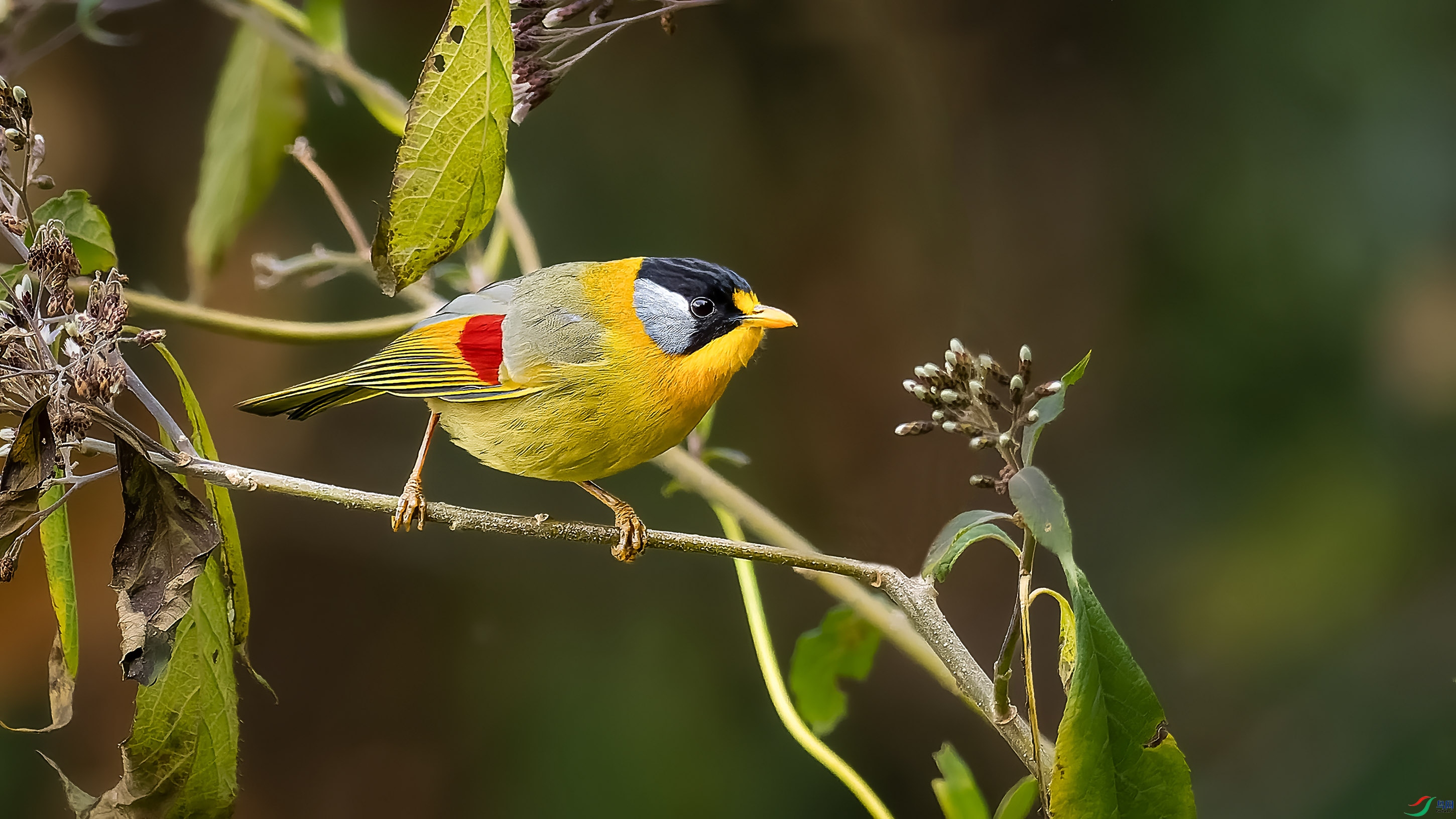 _2021934-ORF_DxO_DeepPRIME ���� 2.jpg