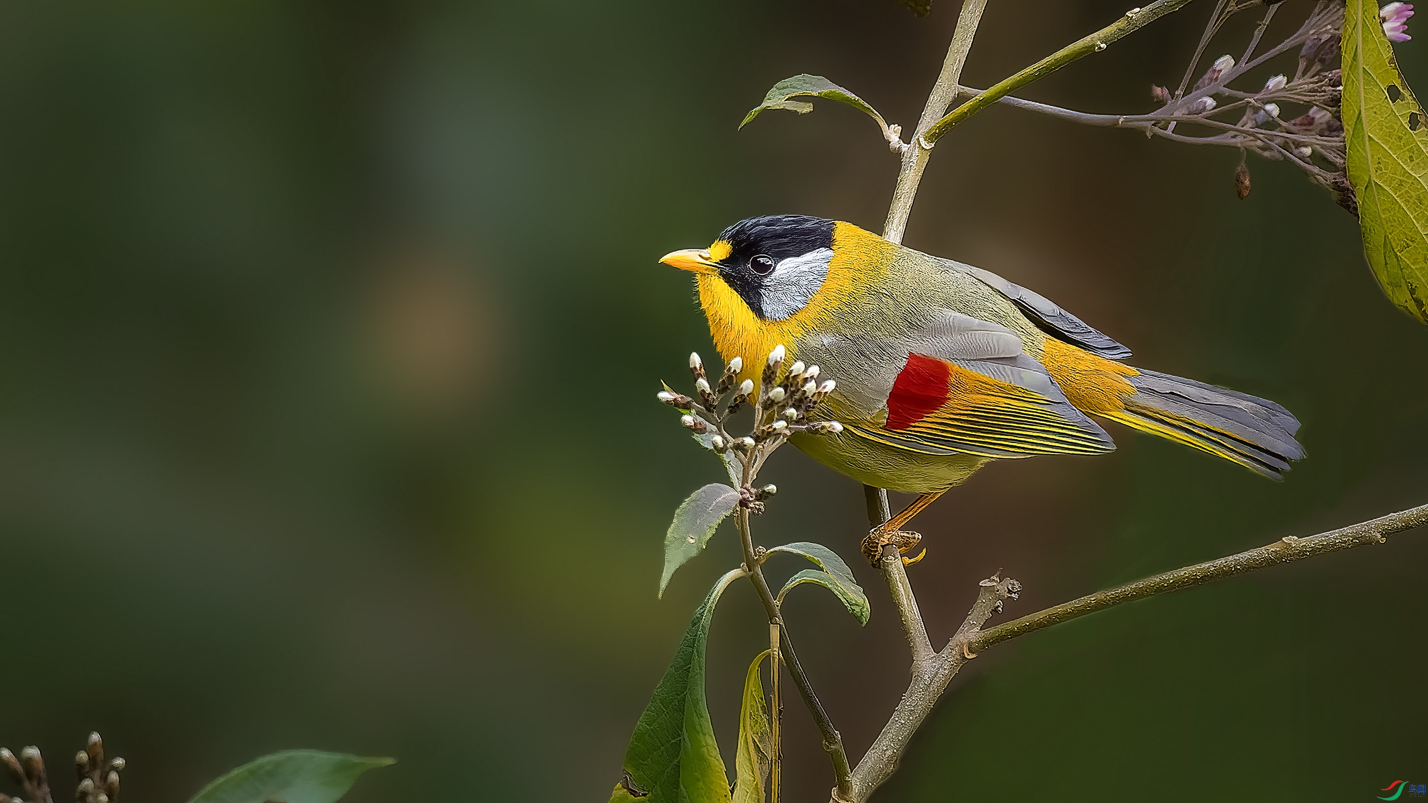 _2021953-ORF_DxO_DeepPRIME ���� 2.jpg