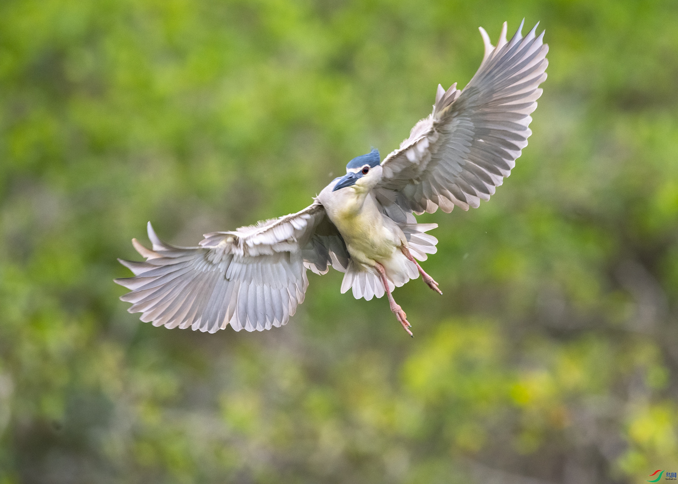 8331 ����.jpg