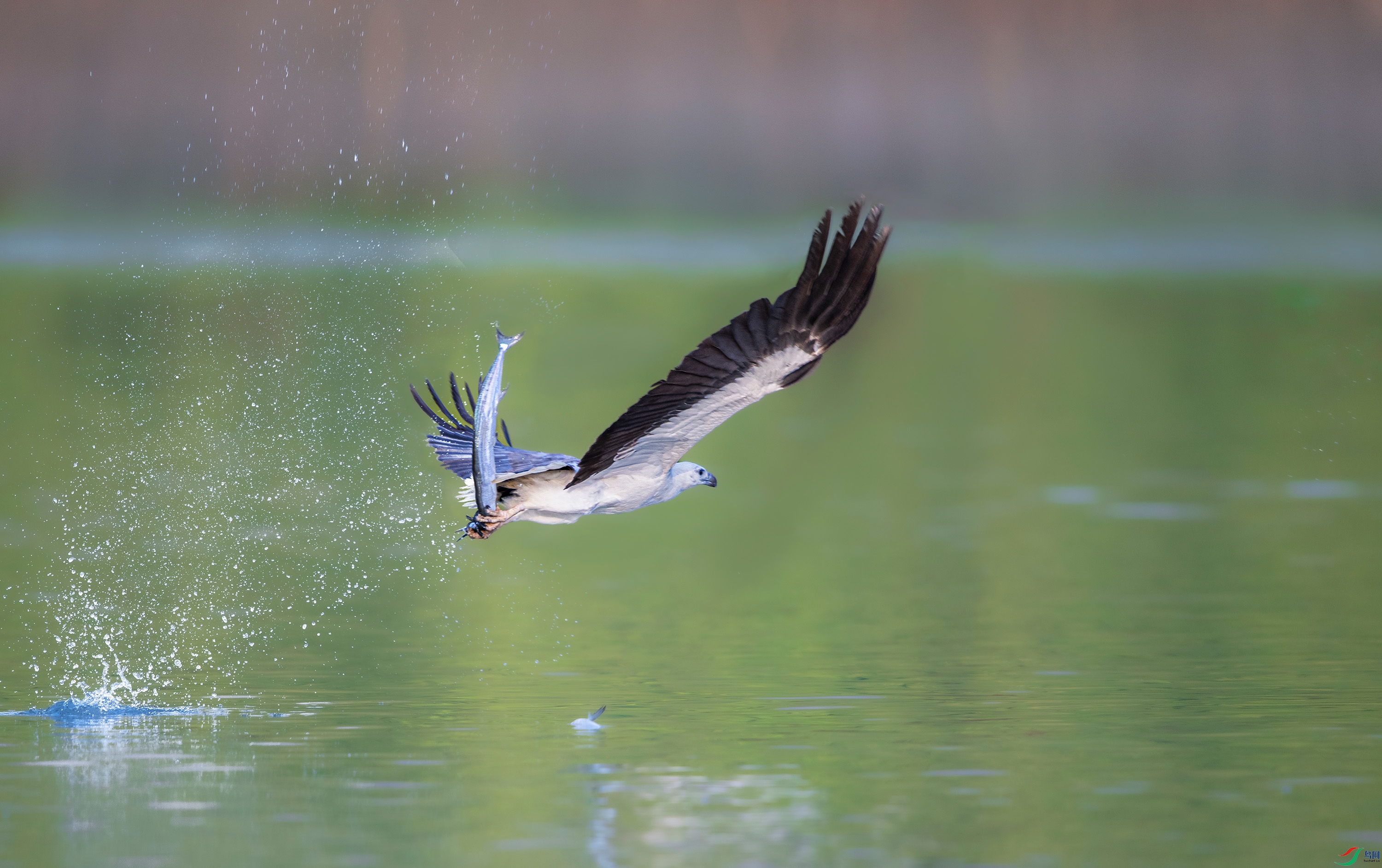 DSC_6128.jpg