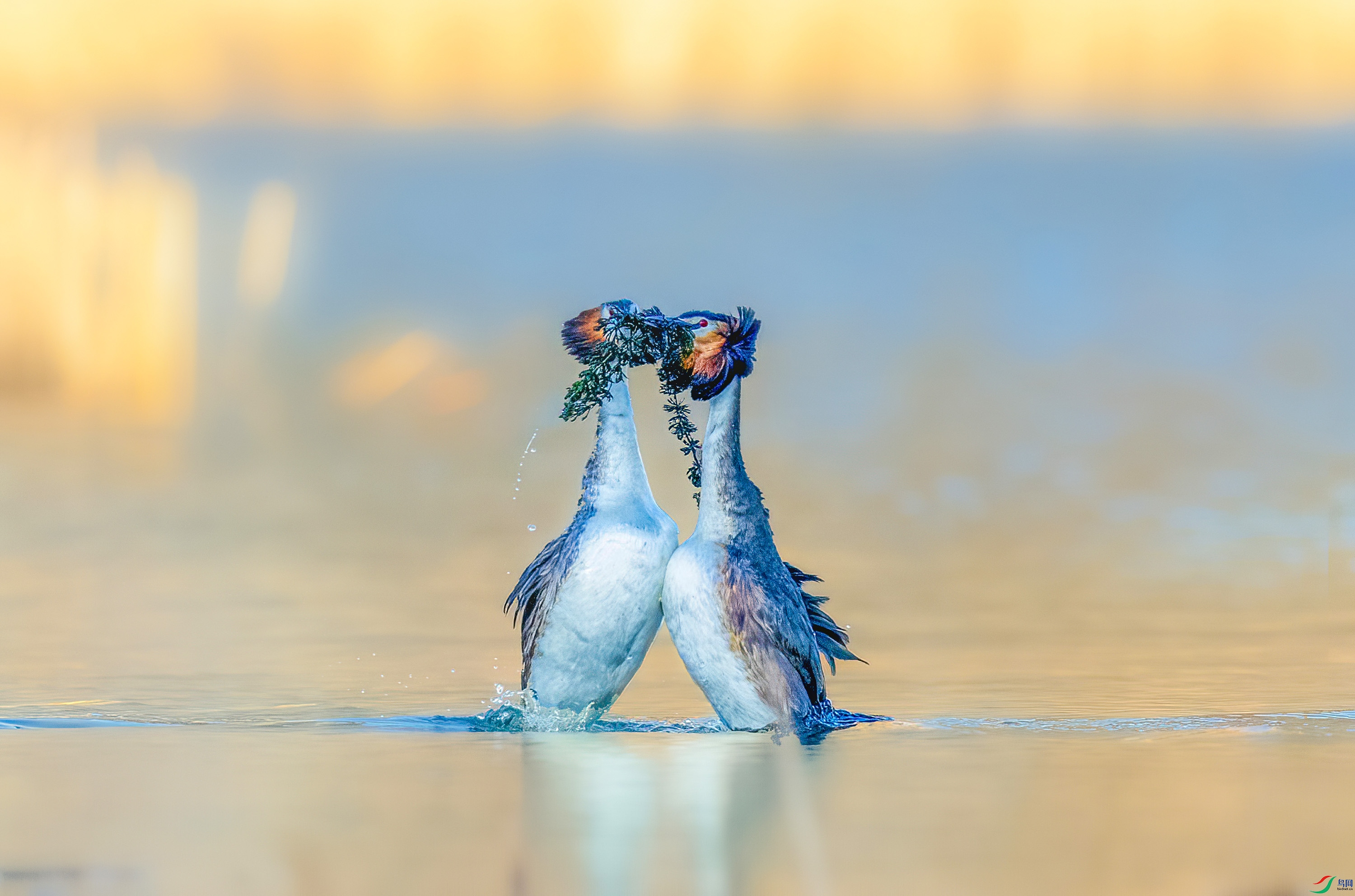 _JLN0754 ����OK.jpg