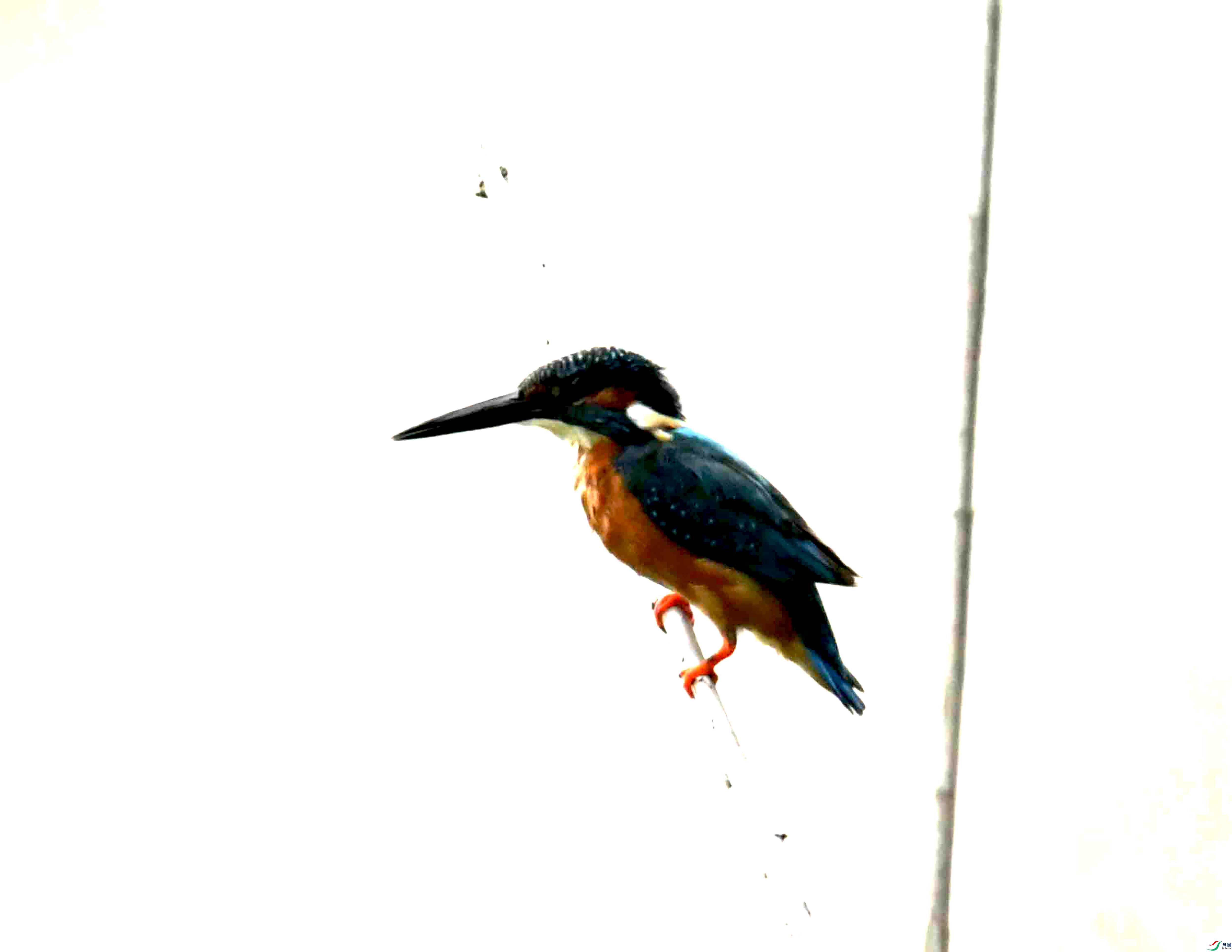 DSC_1282.JPG