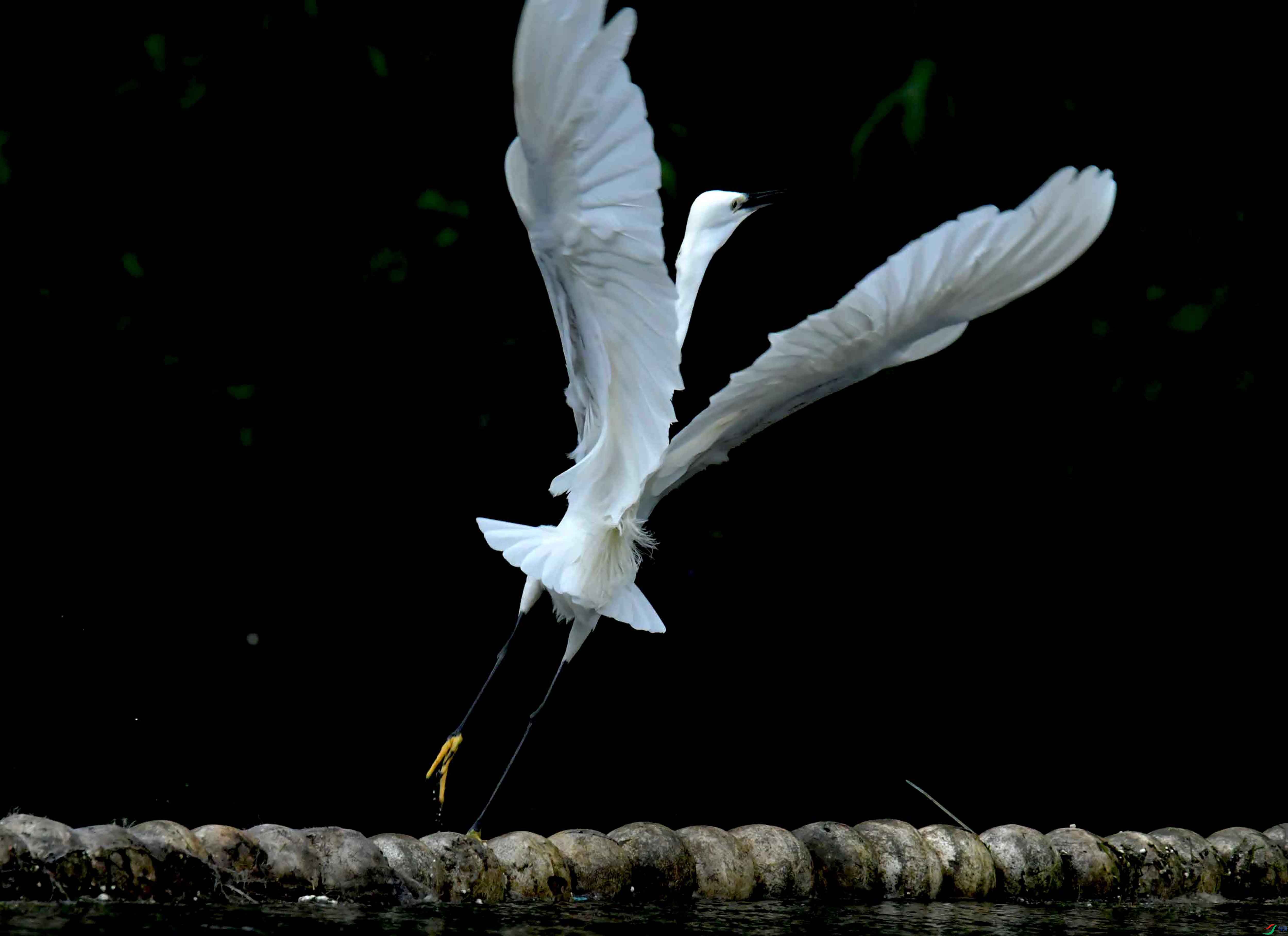 DSC_2225.JPG
