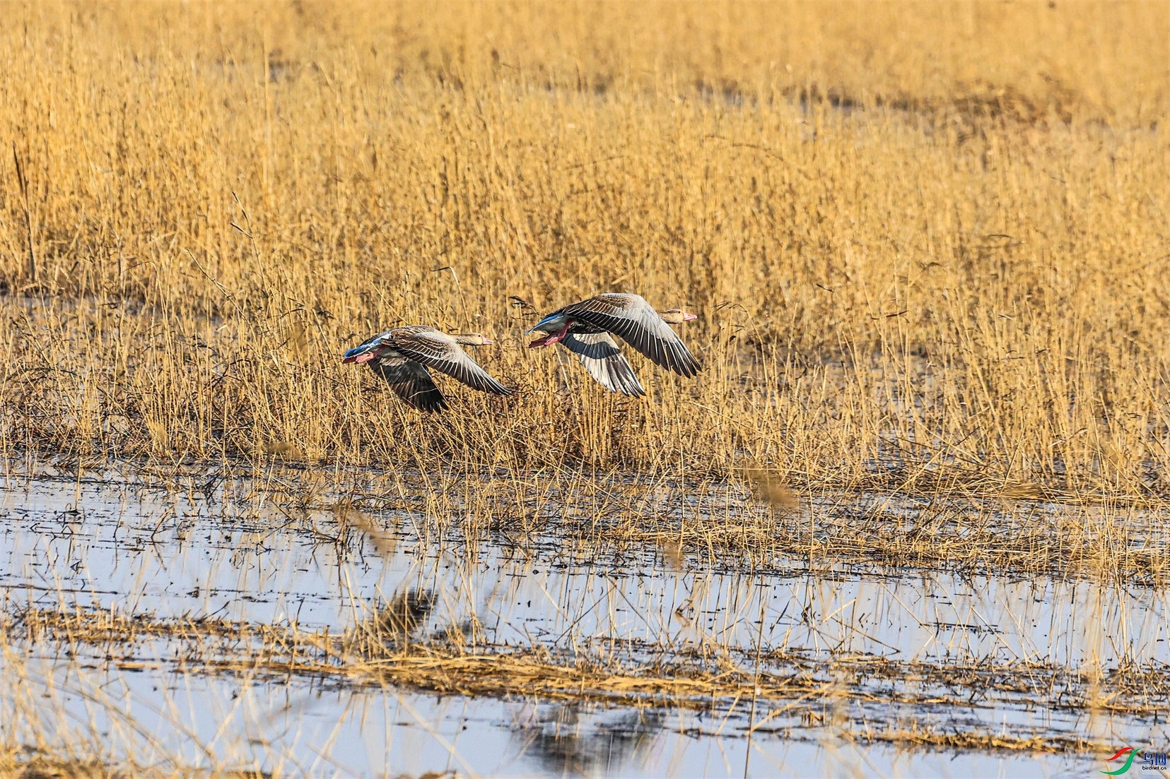 1K3A3750 ����1.jpg