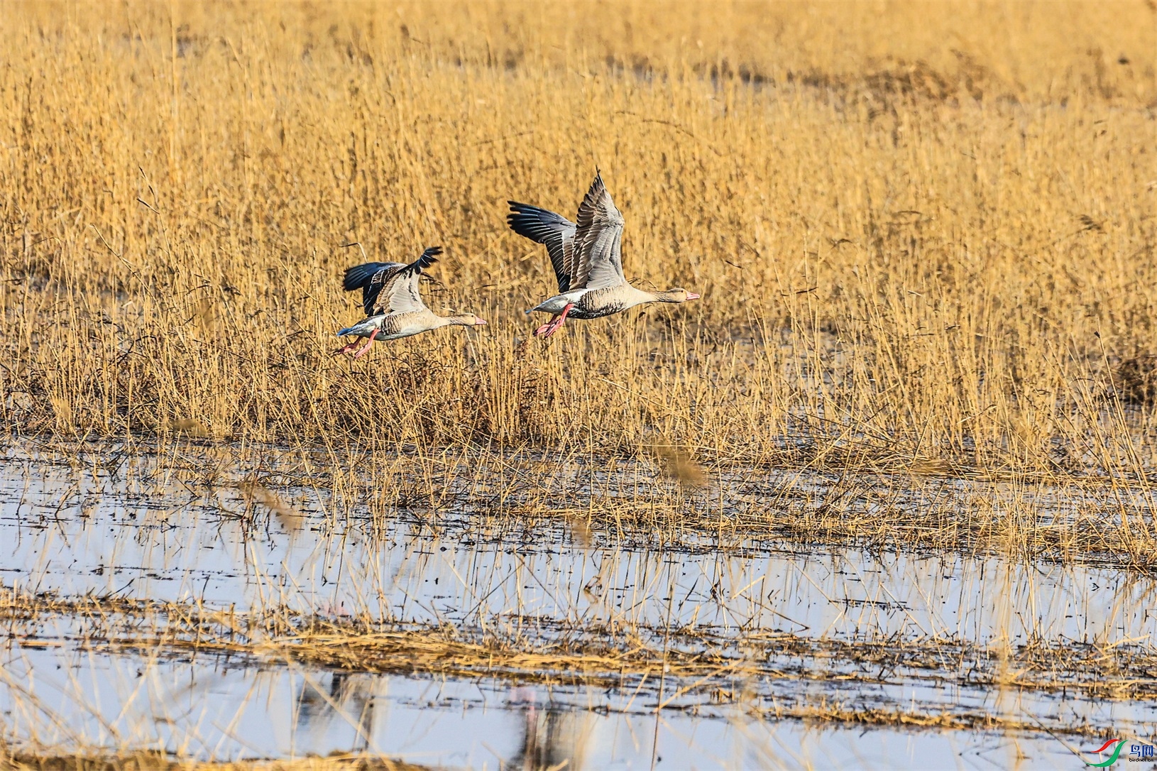 1K3A3751 ����1.jpg