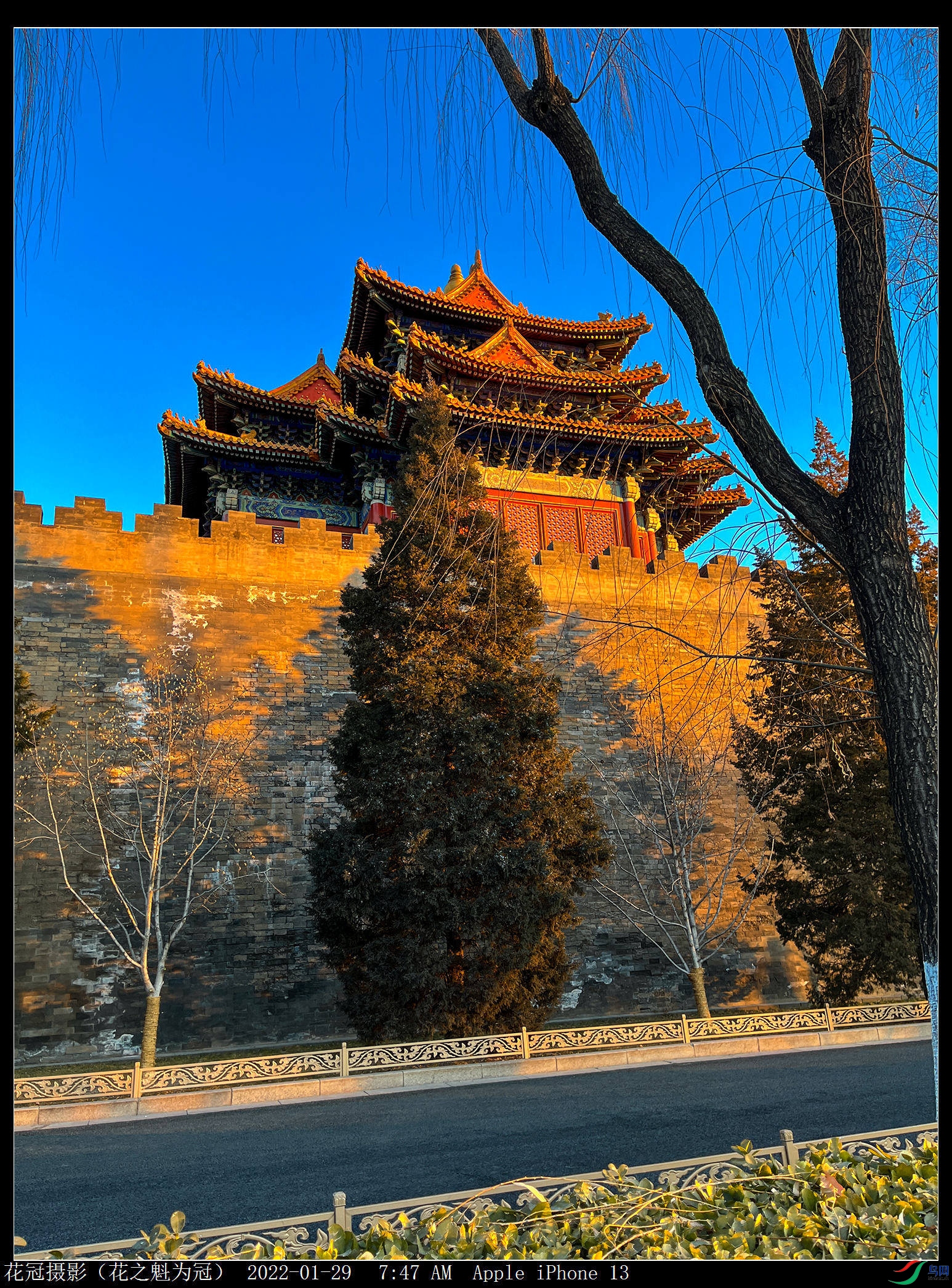 ΢��ͼƬ_20220129191733B-1_����_����.jpg