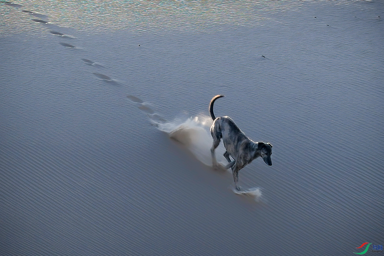 ���������ɹű���ͼ��