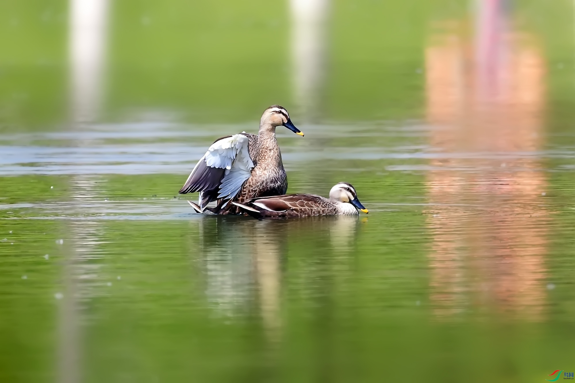 DSC_6272.jpg
