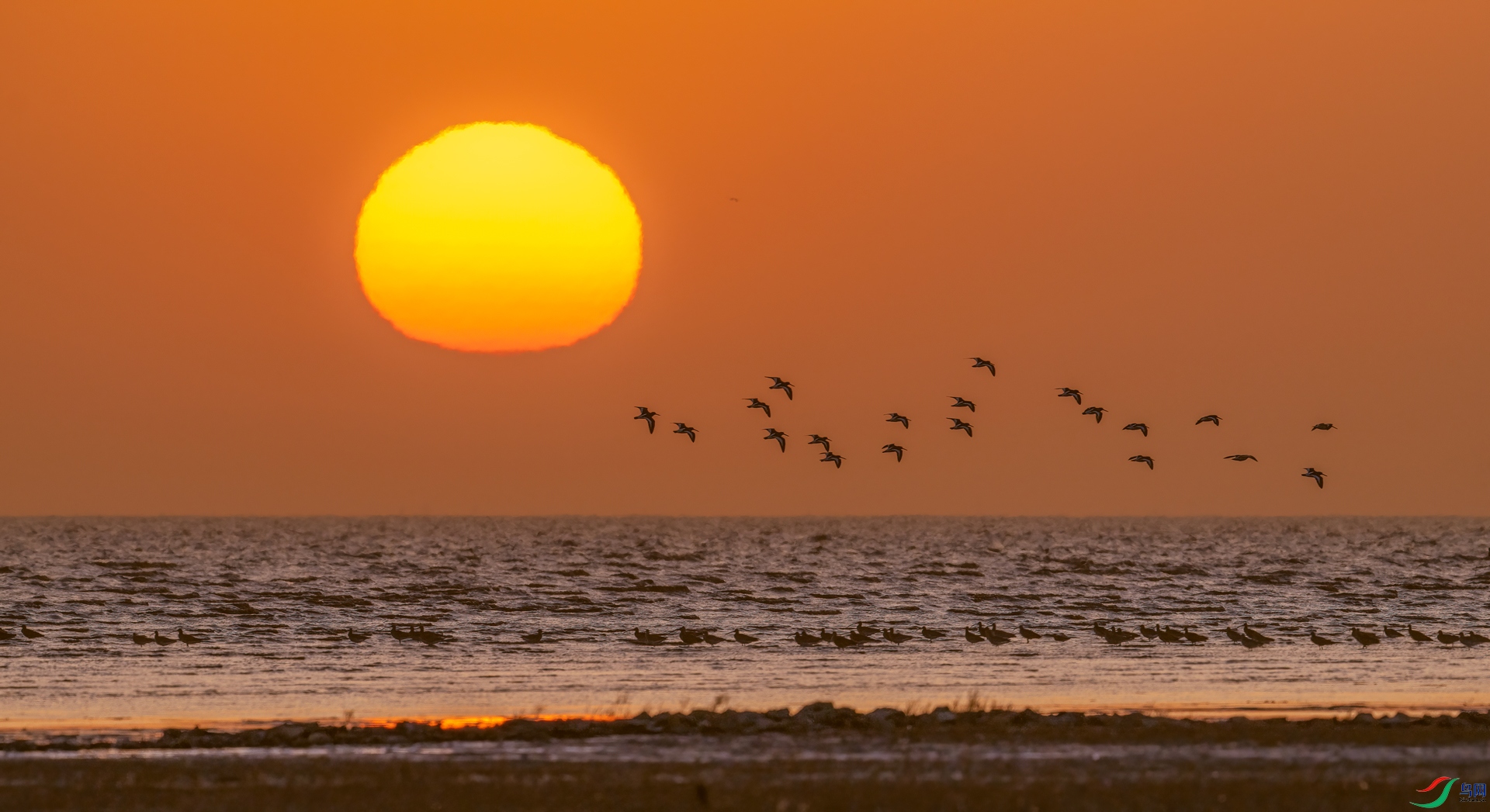 DSC_4138==1w.jpg