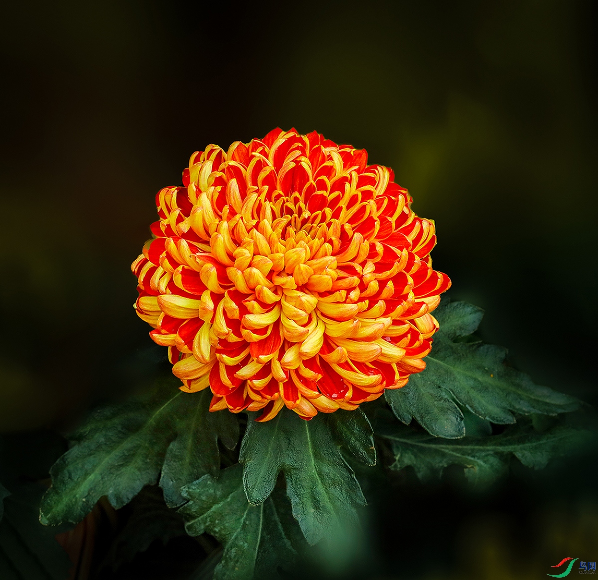 00072583A0020 ��ɺ��1000k.jpg