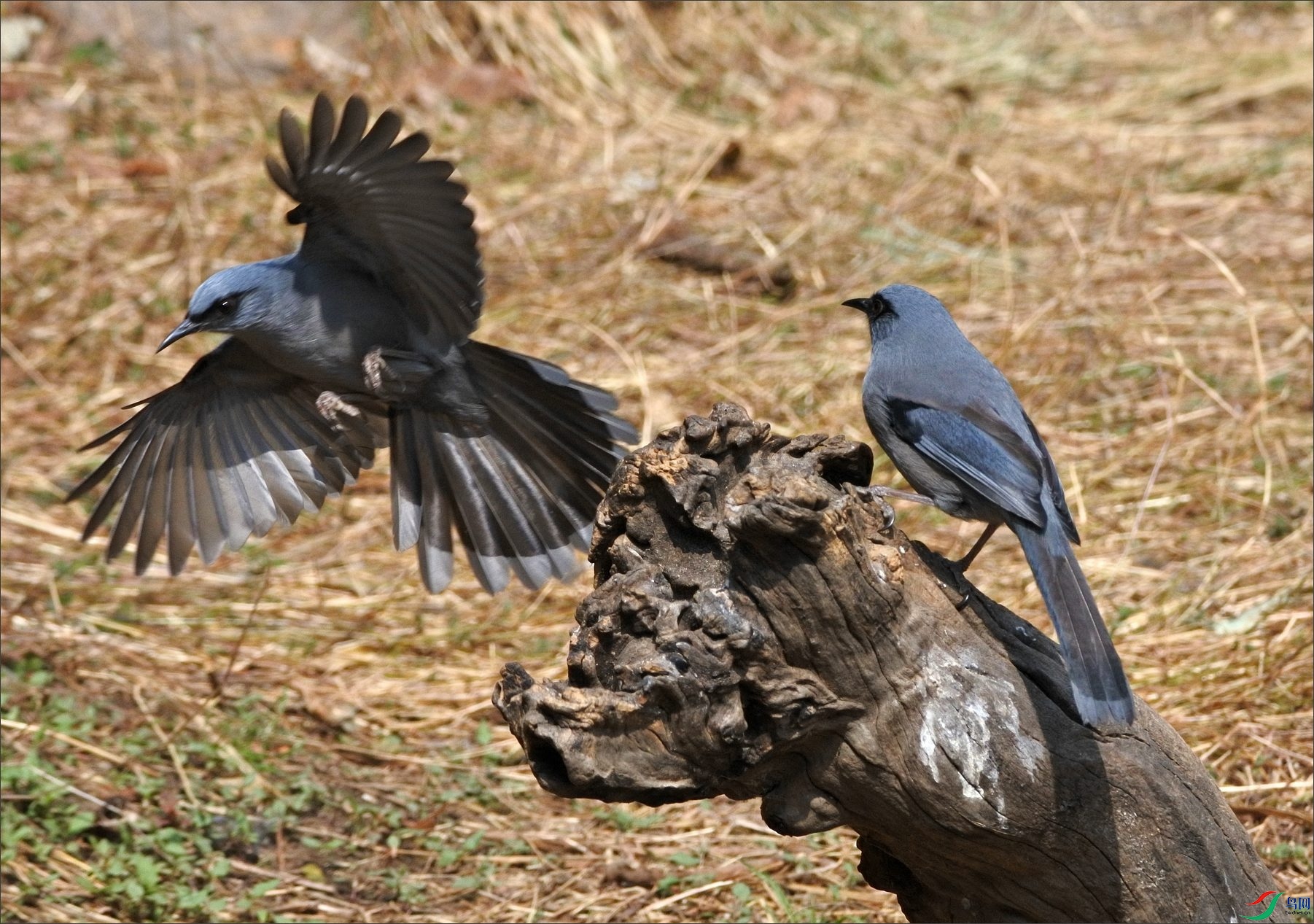 DSC_8772.jpg