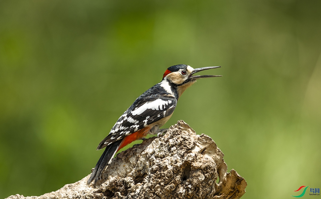 DSC_7880--2.jpg