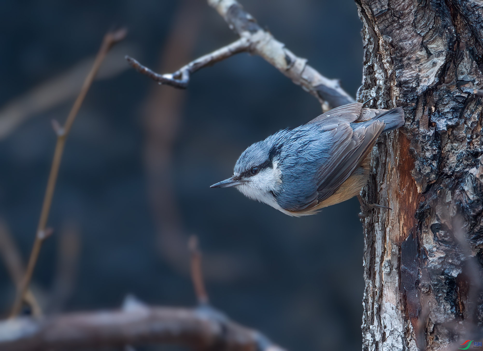 DS1_9354.jpg