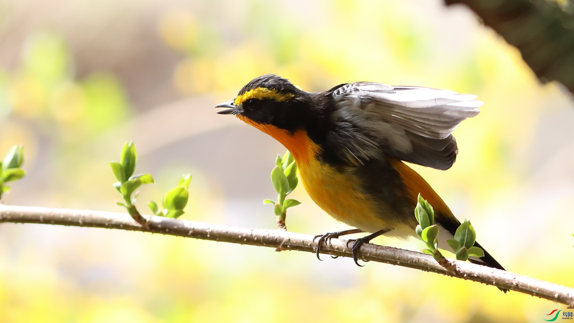 ���ֵĴ���