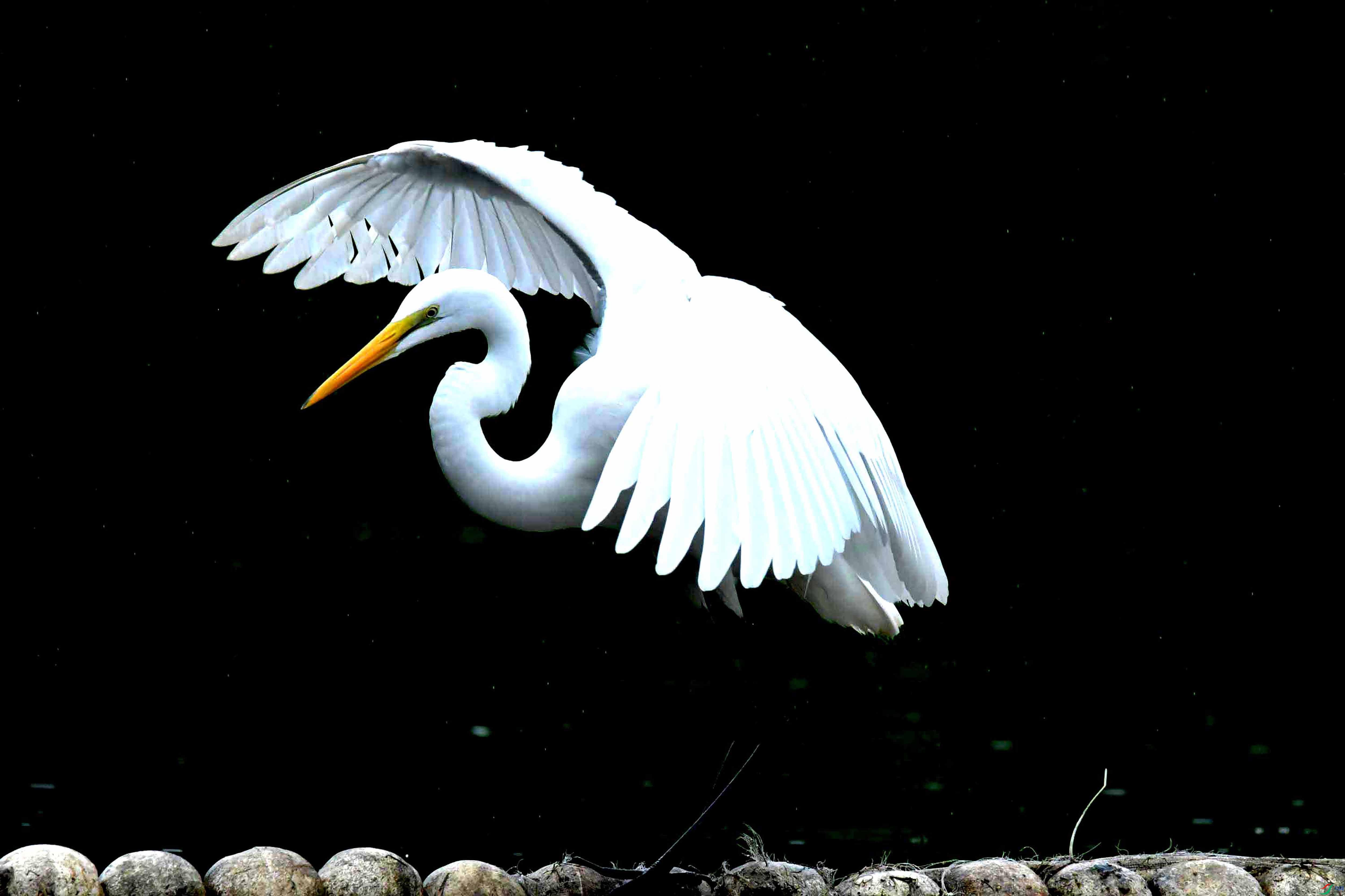 DSC_2269.JPG