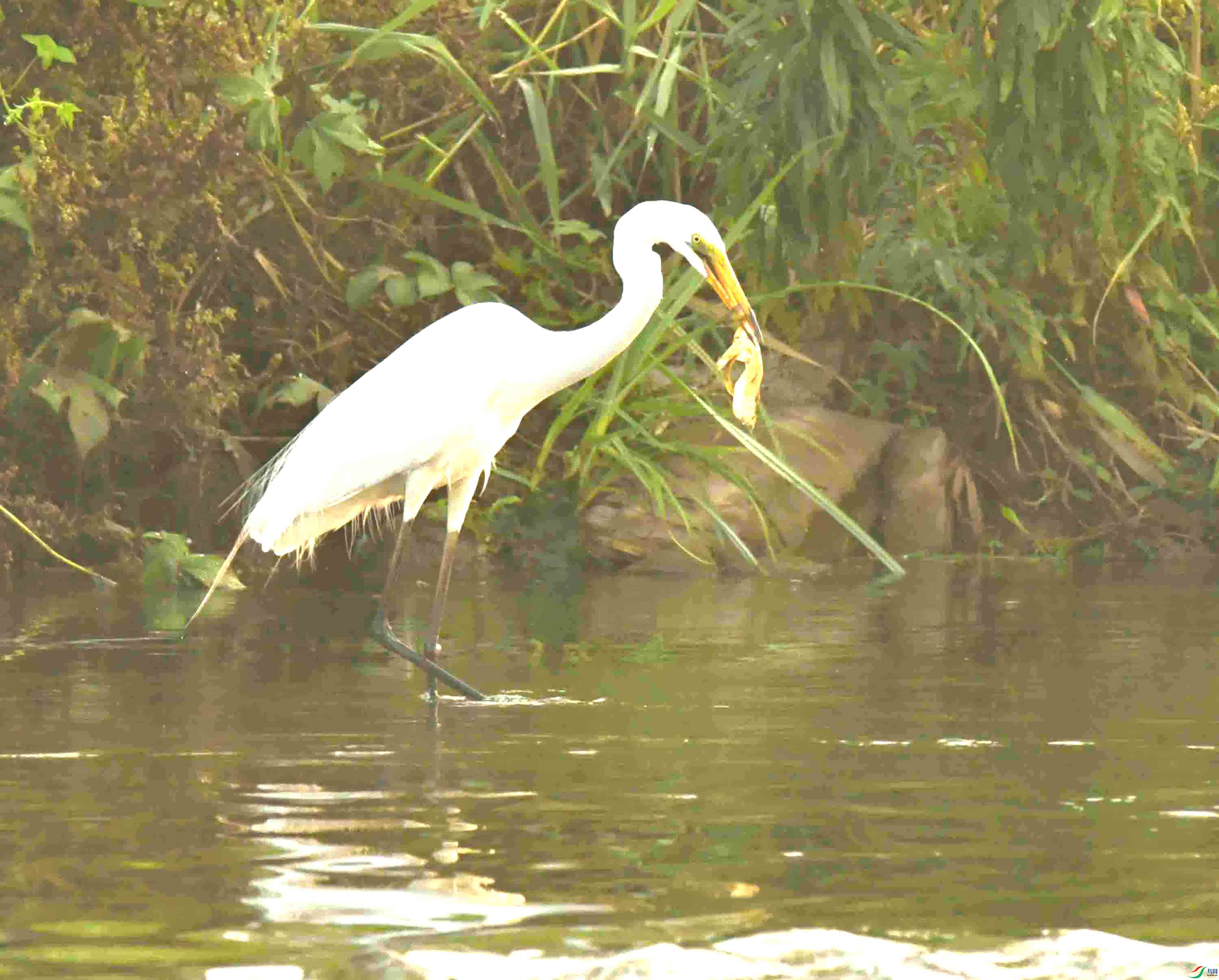 DSC_2271.JPG