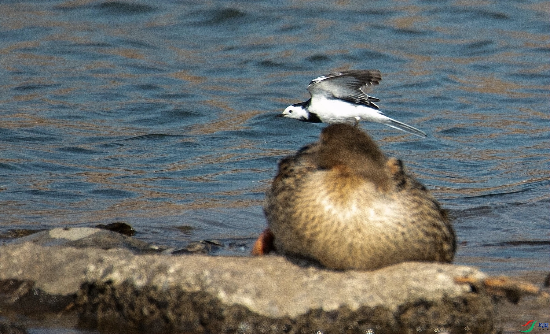 ͻ������ (2)_����.jpg