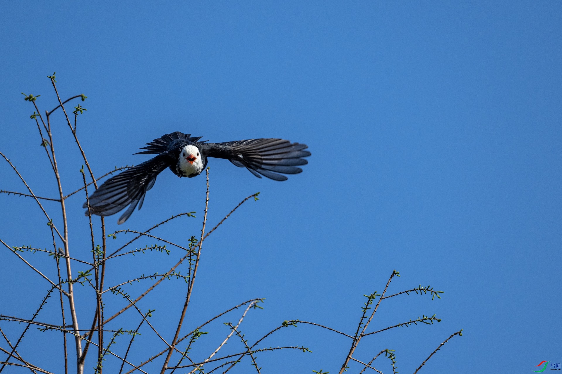 DSC_1579_����.jpg