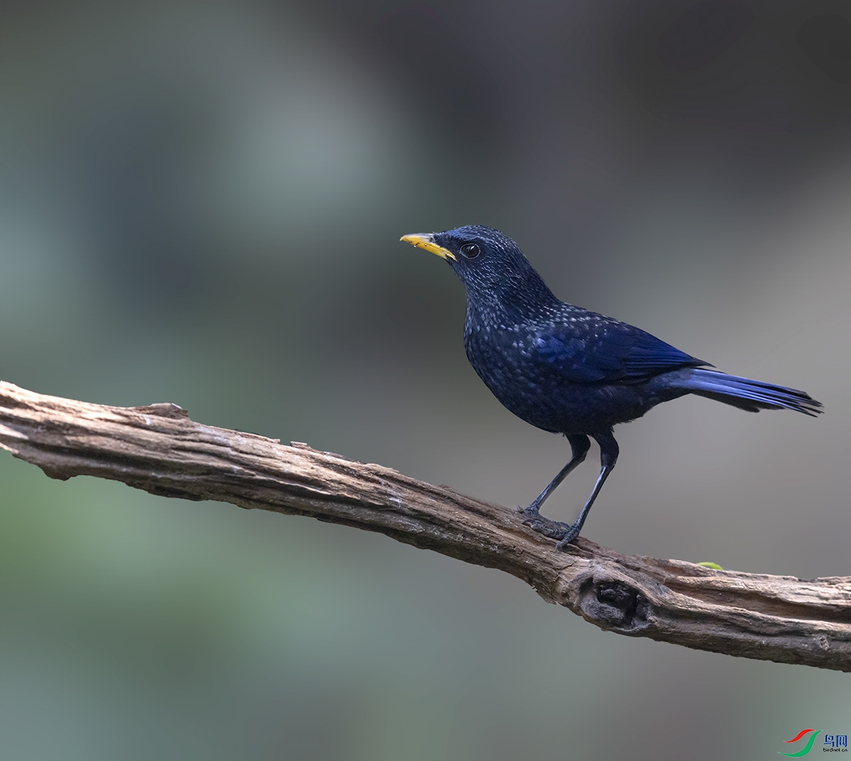 2F5A0862 ����.psd2 ����.jpg22.jpg