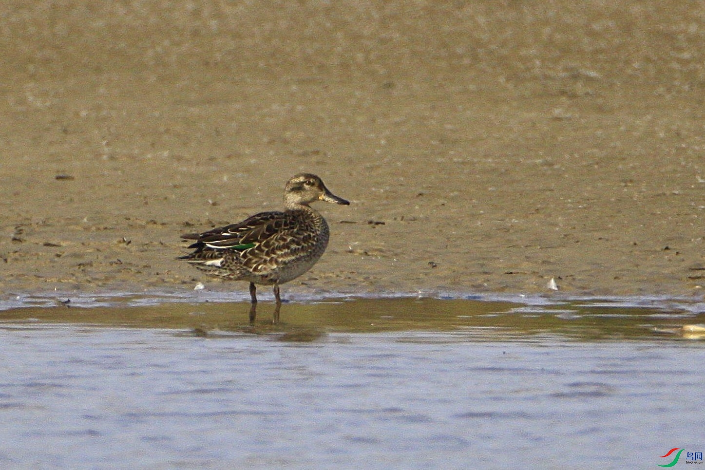 ʲôѼ��_MG_3730.jpg