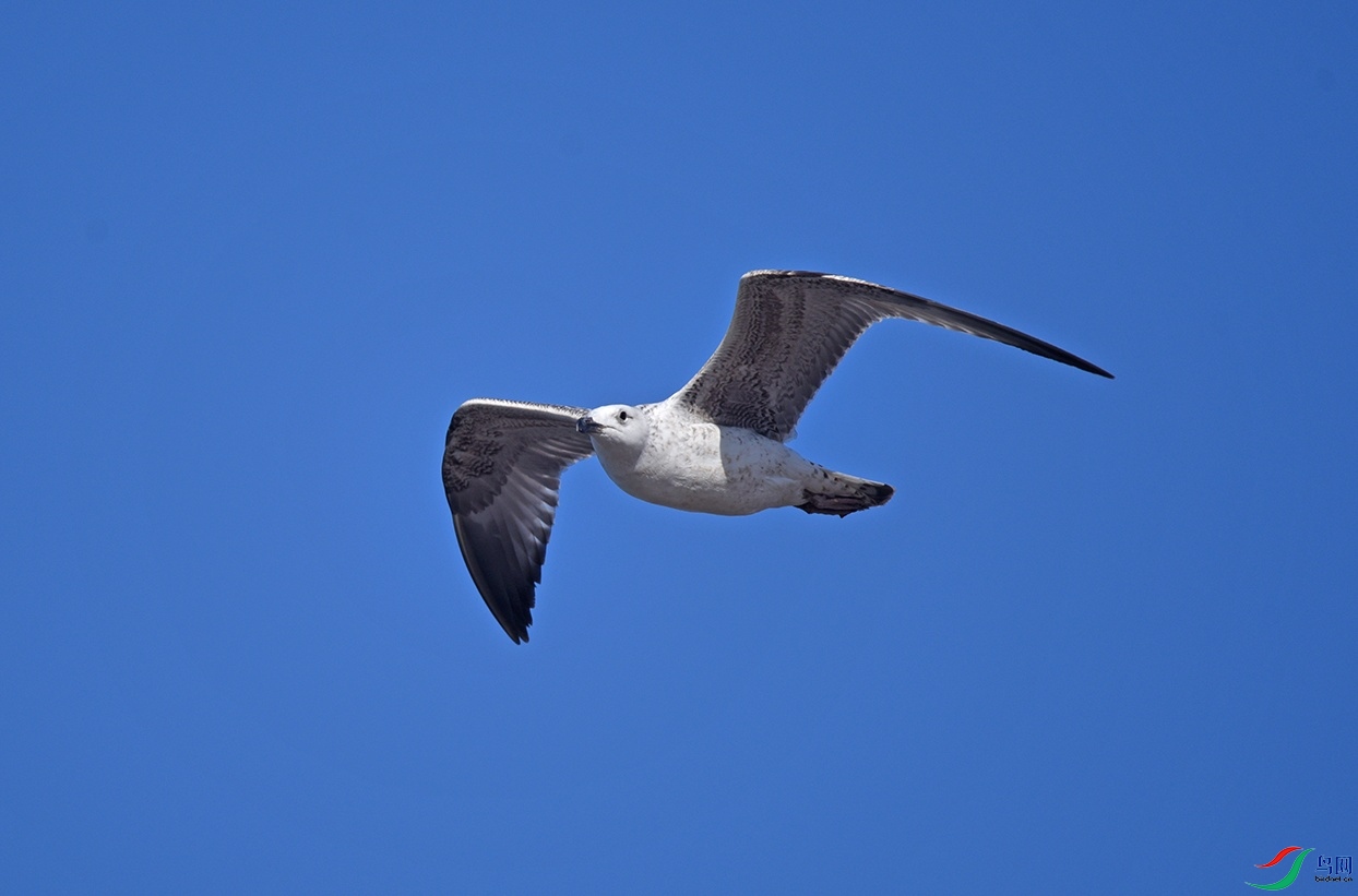 DSC_9544f_��ͼ��.jpg