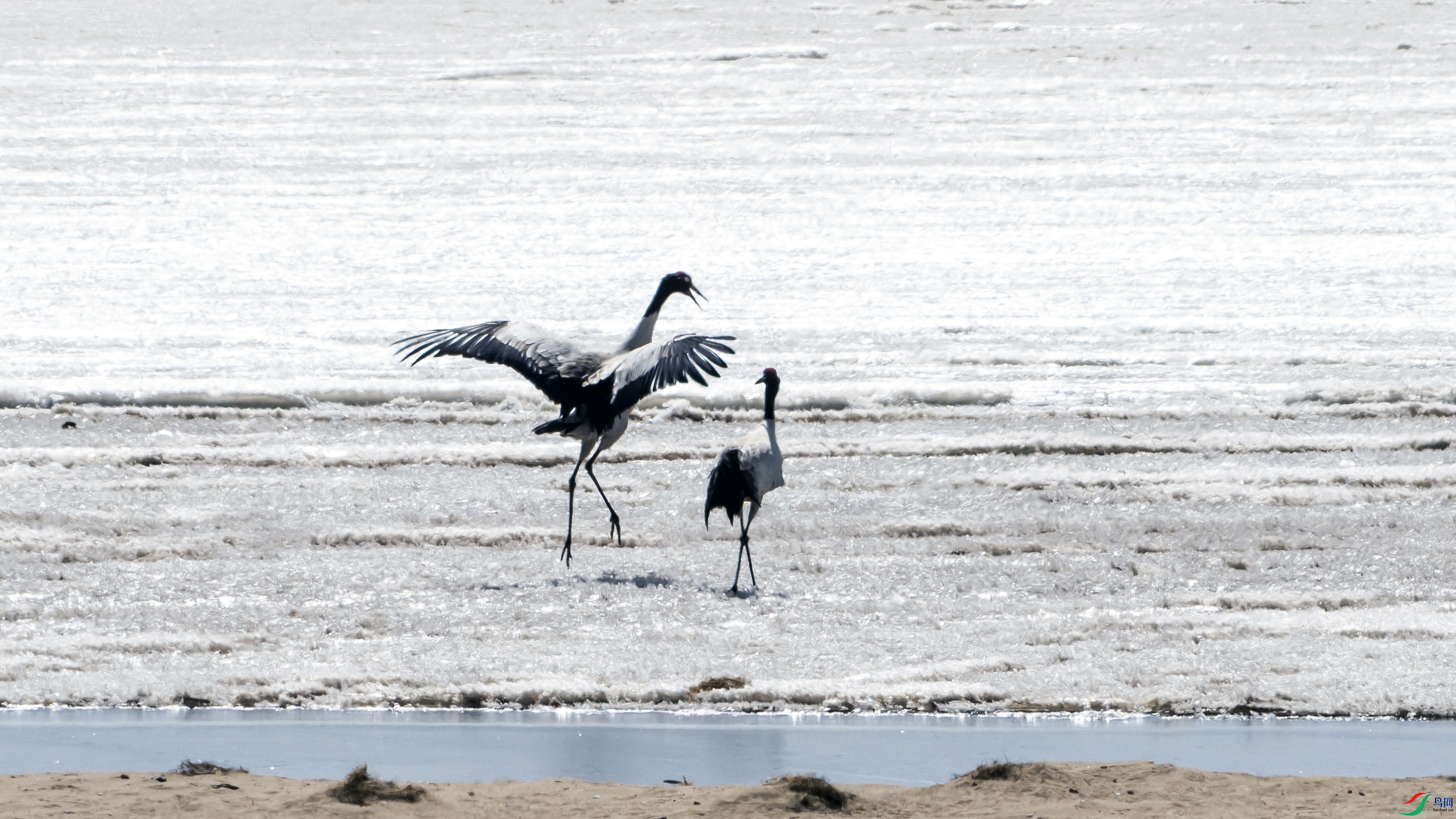 _DSC8883.jpg