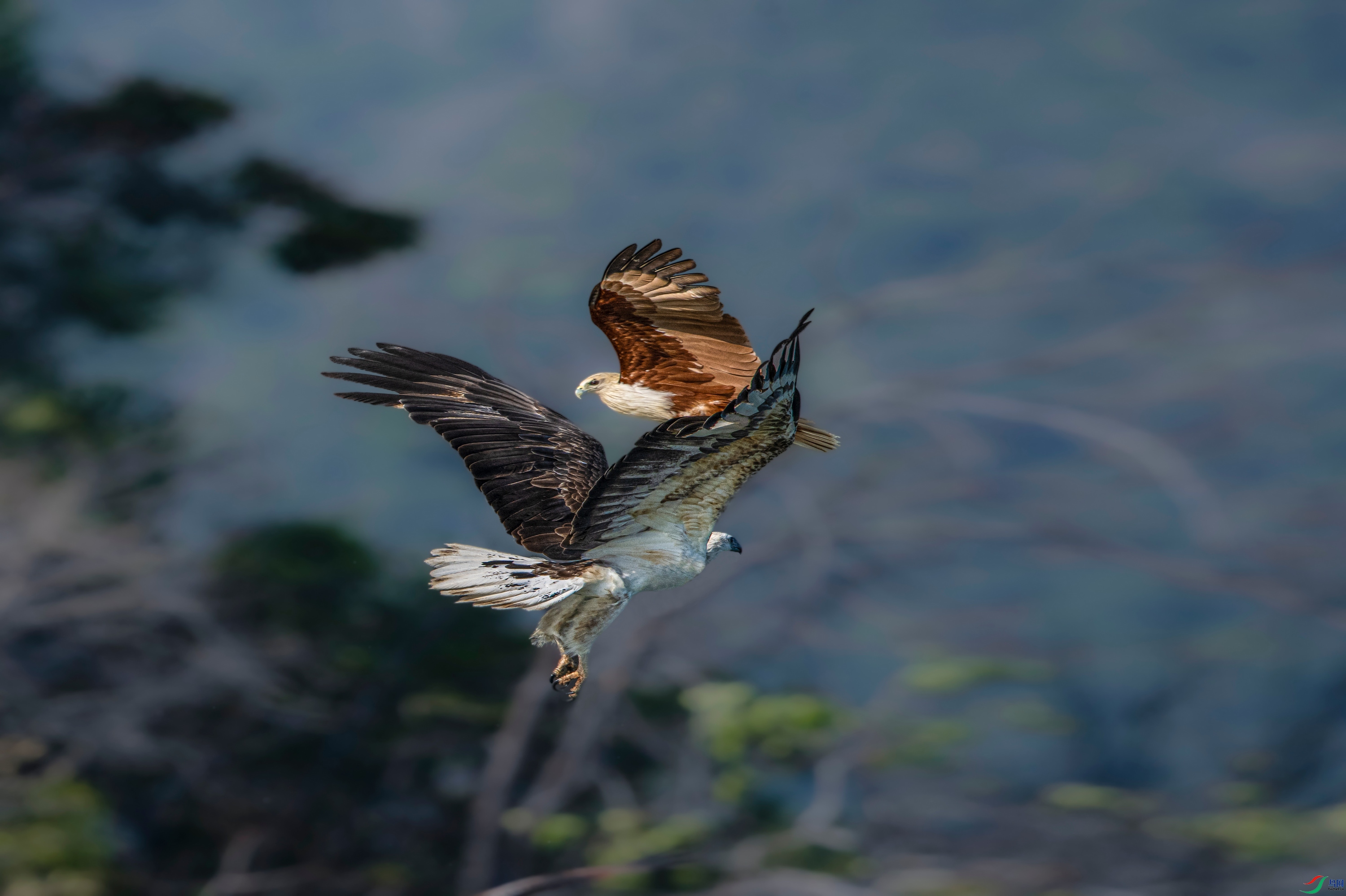 DSC_4245.jpg