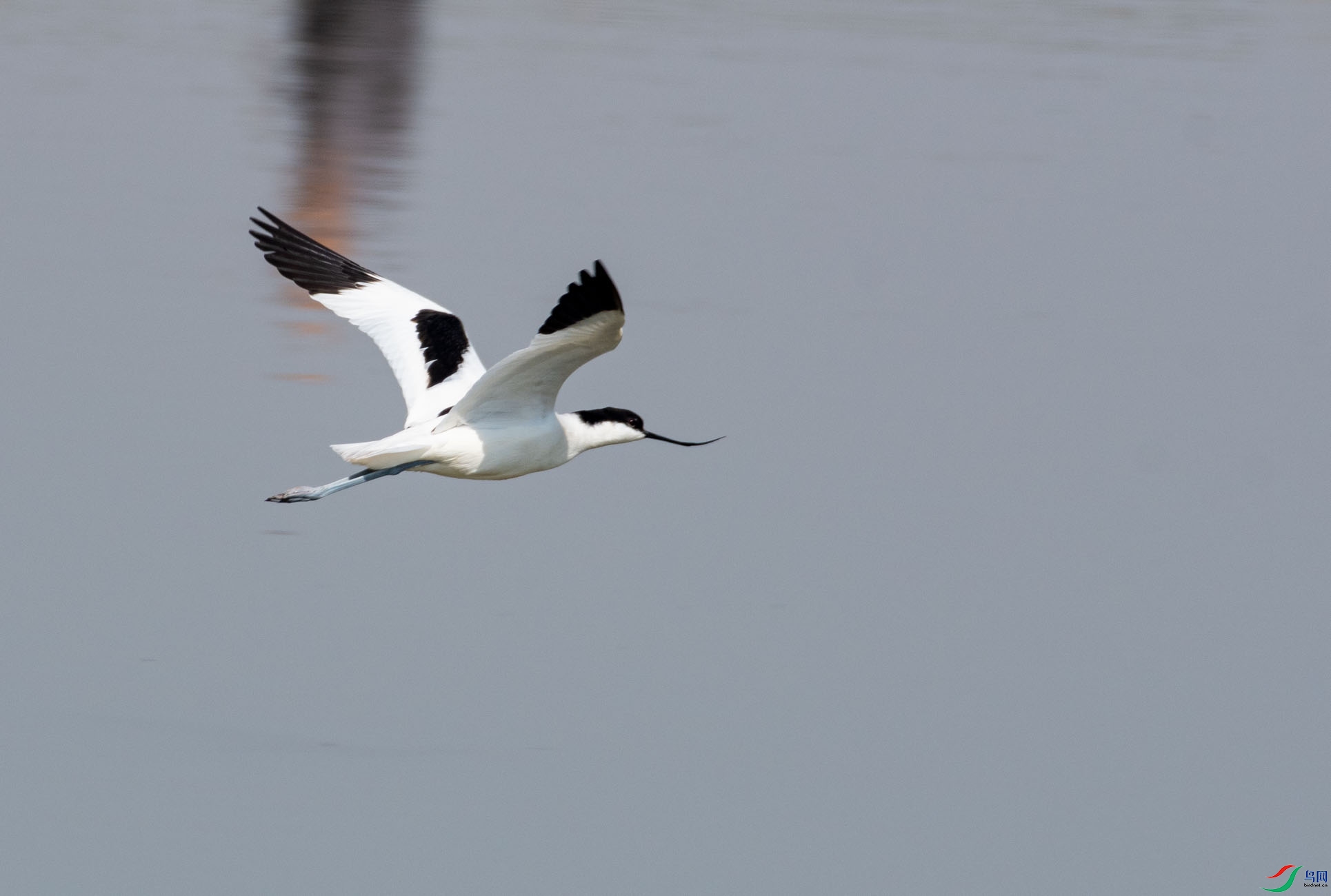 DSC_3157.jpg
