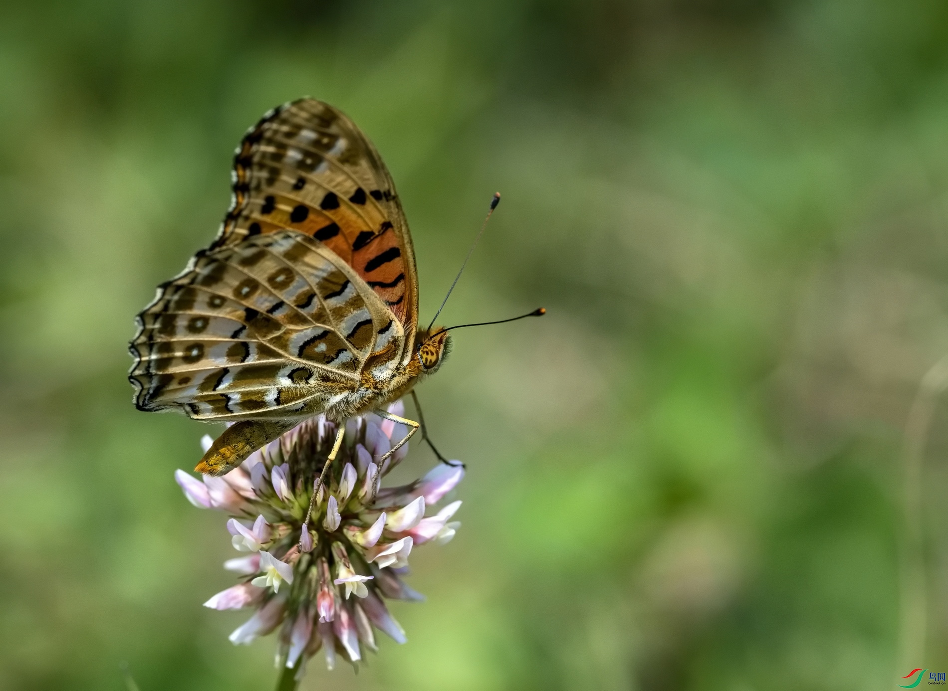 쳱��̵� (216)-1.jpg