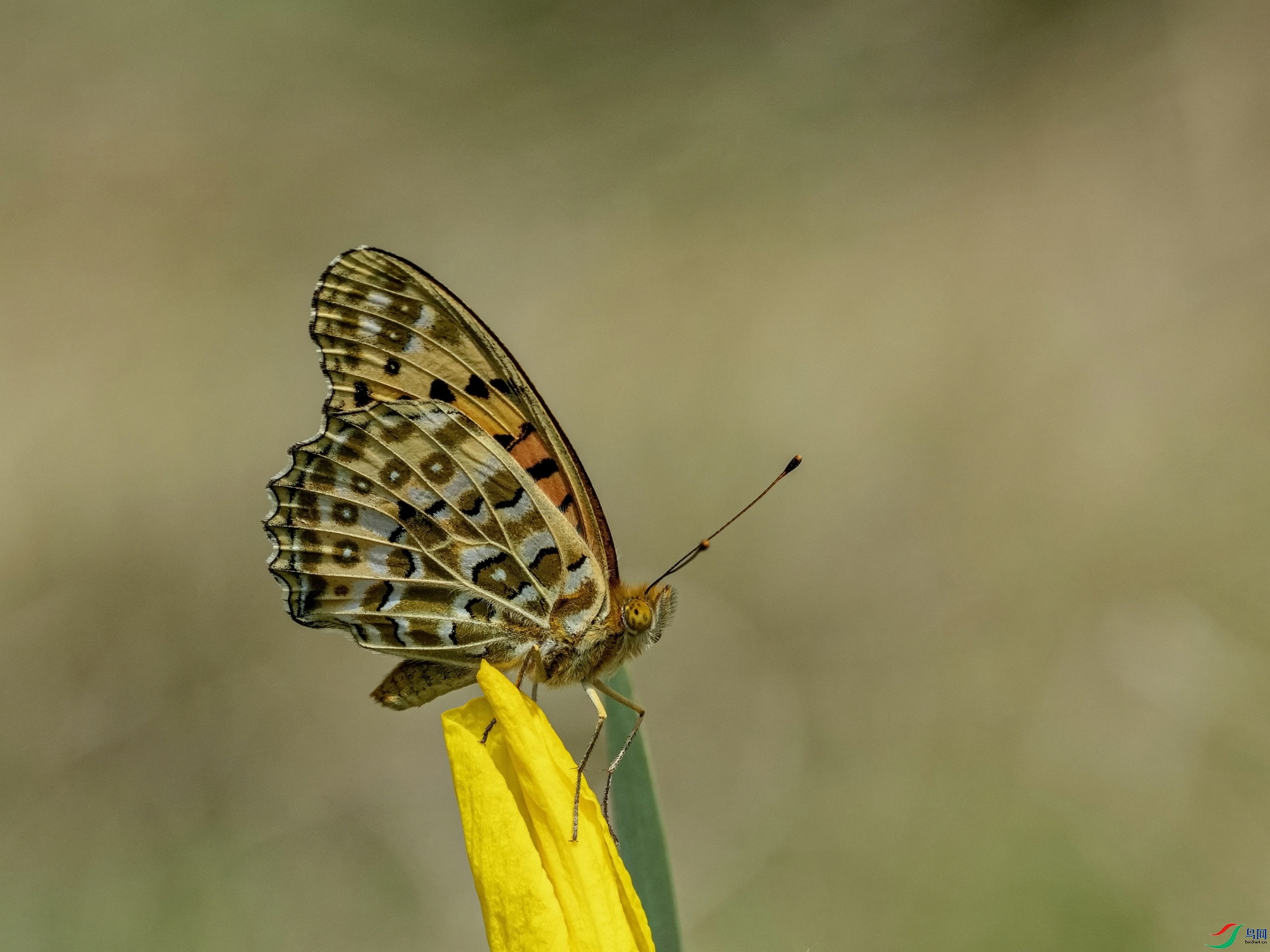 쳱��̵� (187)-1.jpg