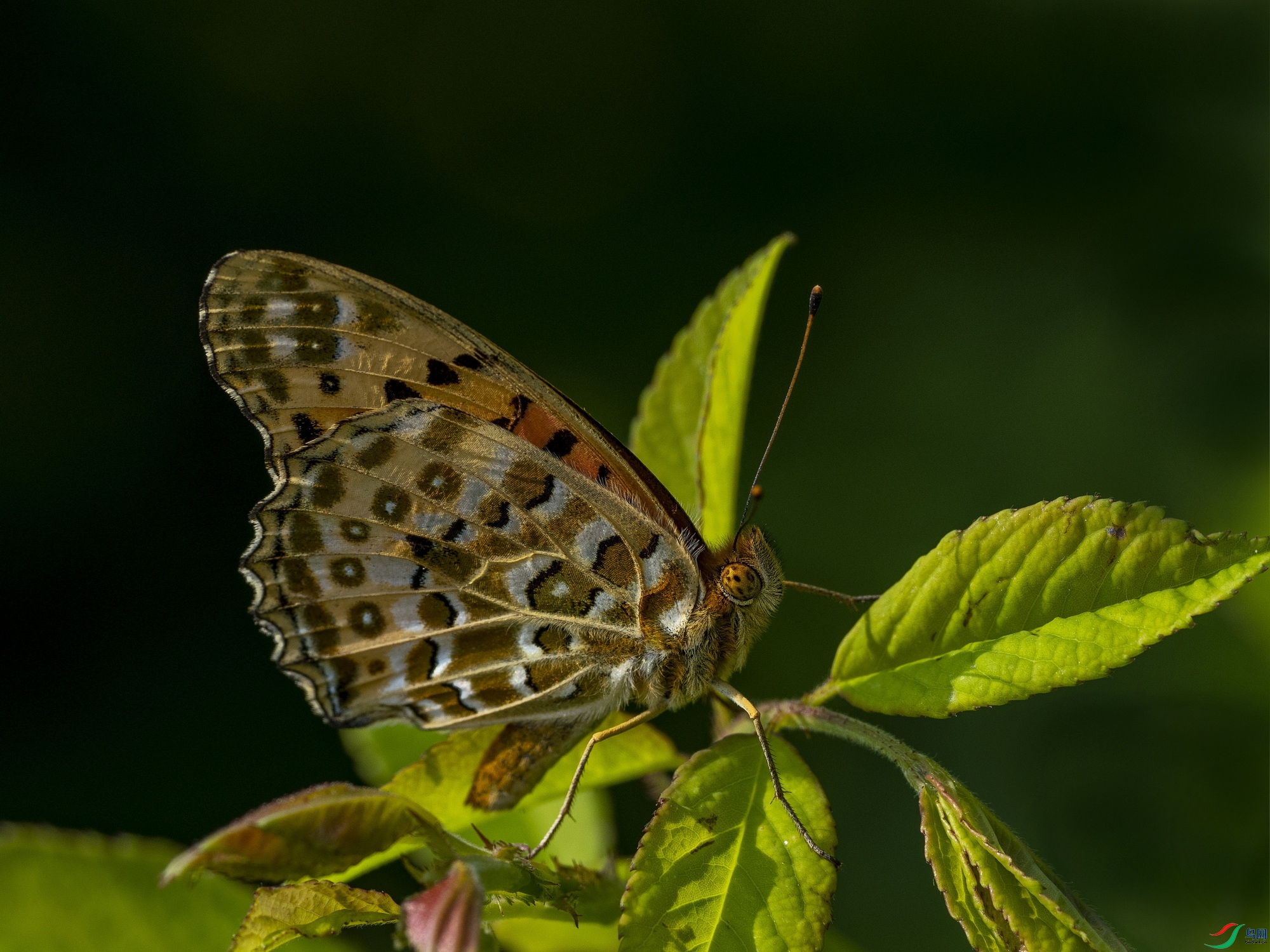 쳱��̵� (292)-1.jpg